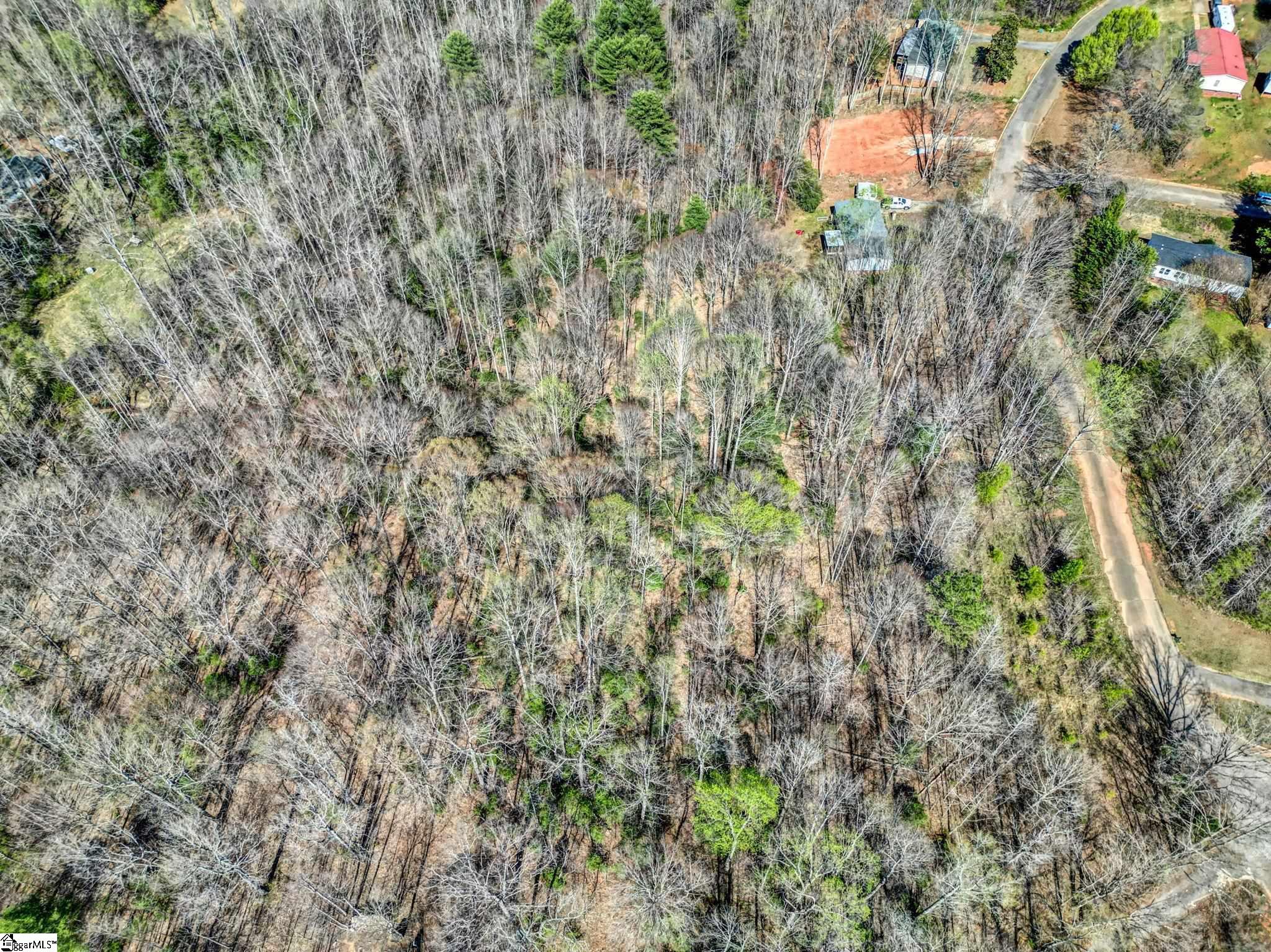 404 Thornbury, Easley, South Carolina image 14