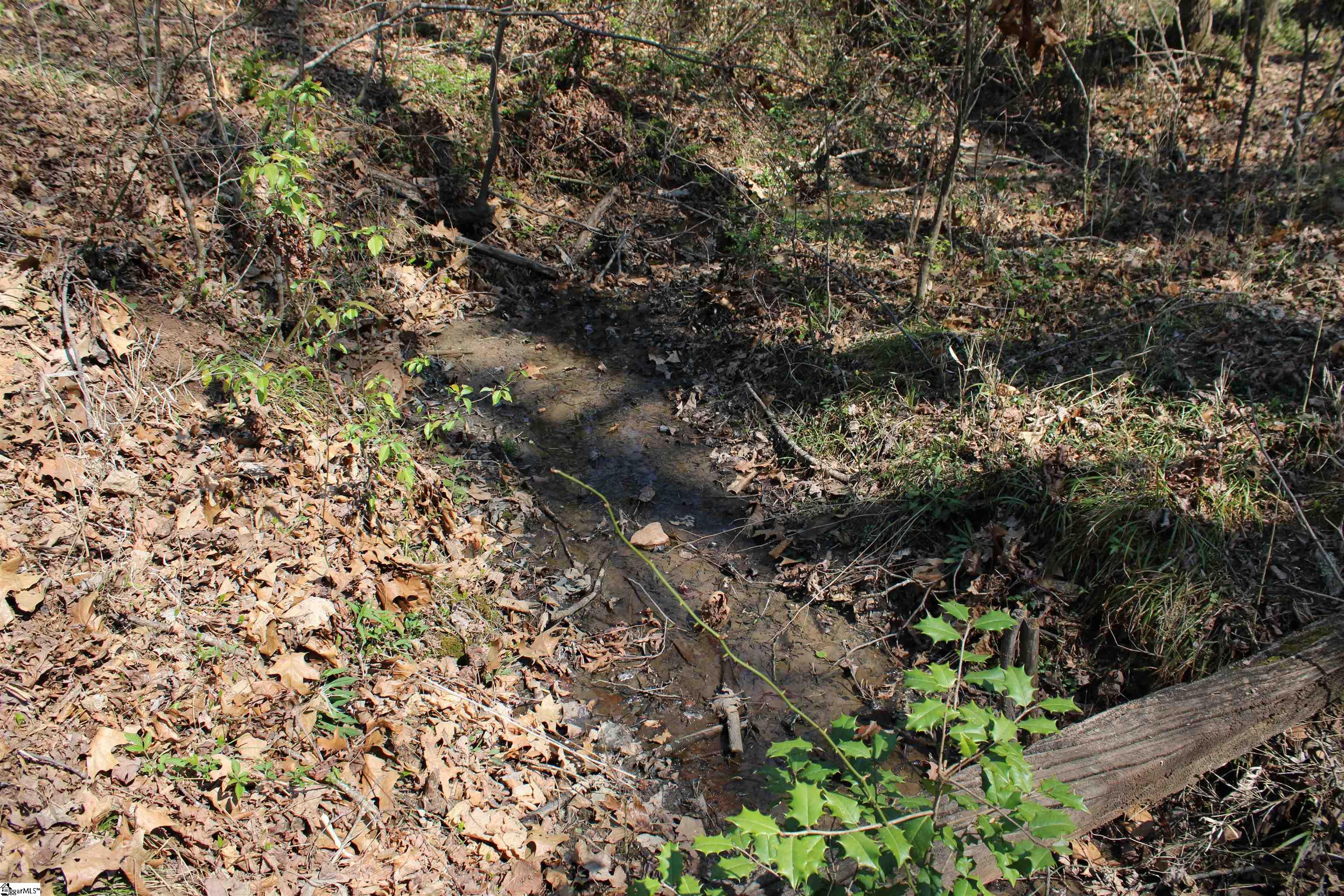 In-Ground Spring feeding Creek on Wooded Acreage