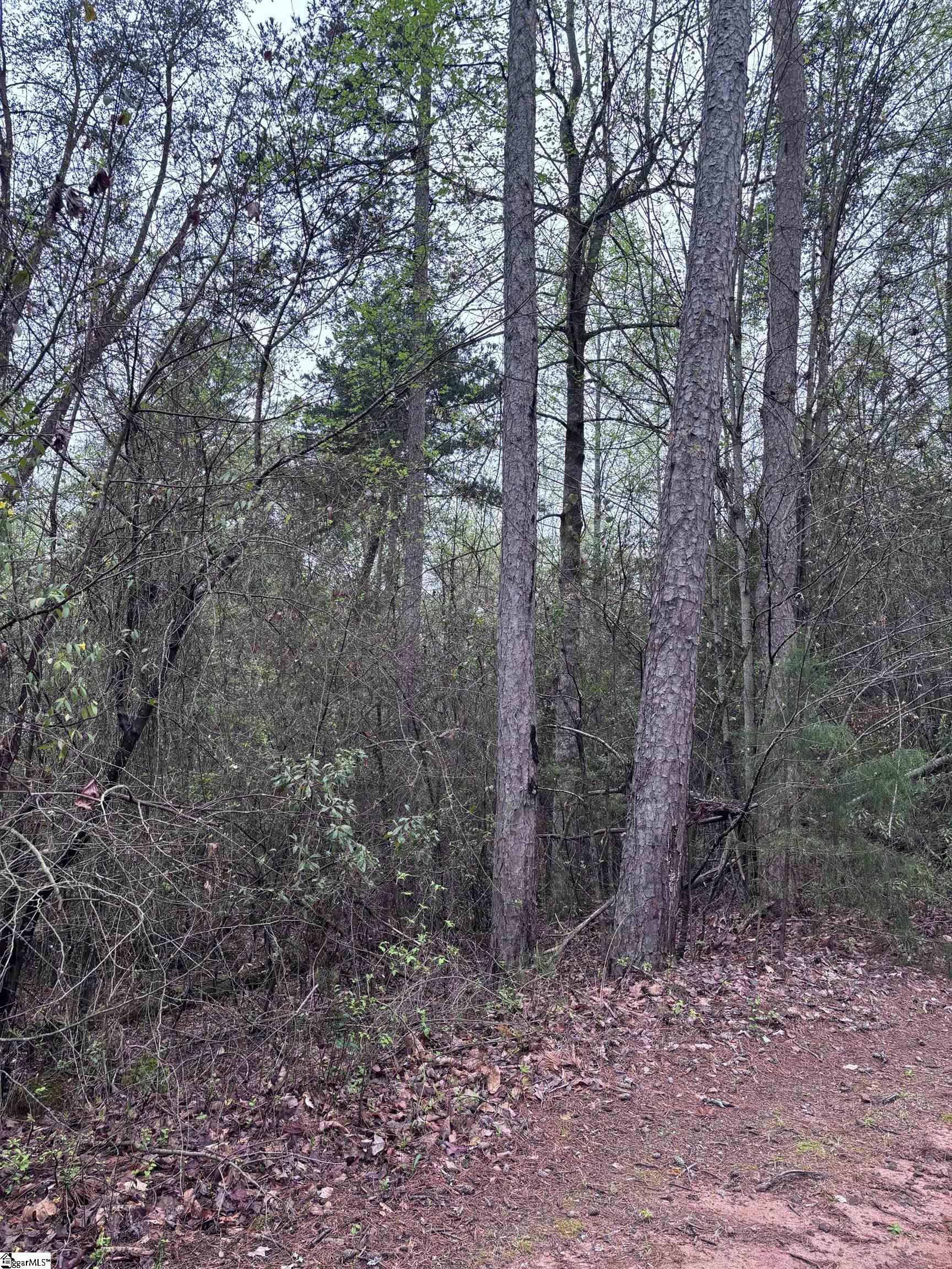 200 Eastlake, Seneca, South Carolina image 7