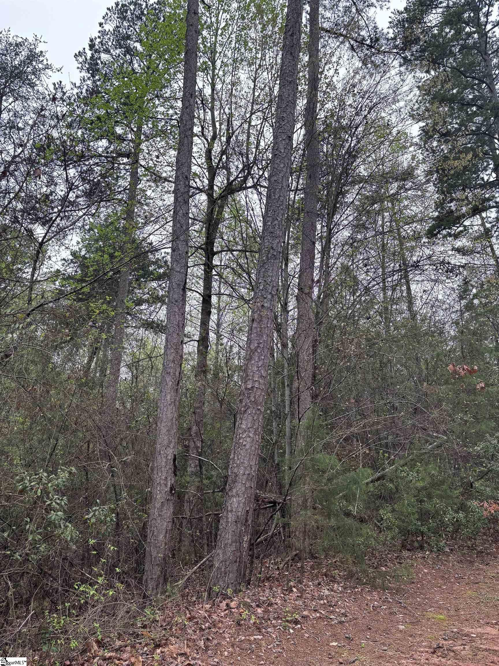 200 Eastlake, Seneca, South Carolina image 8