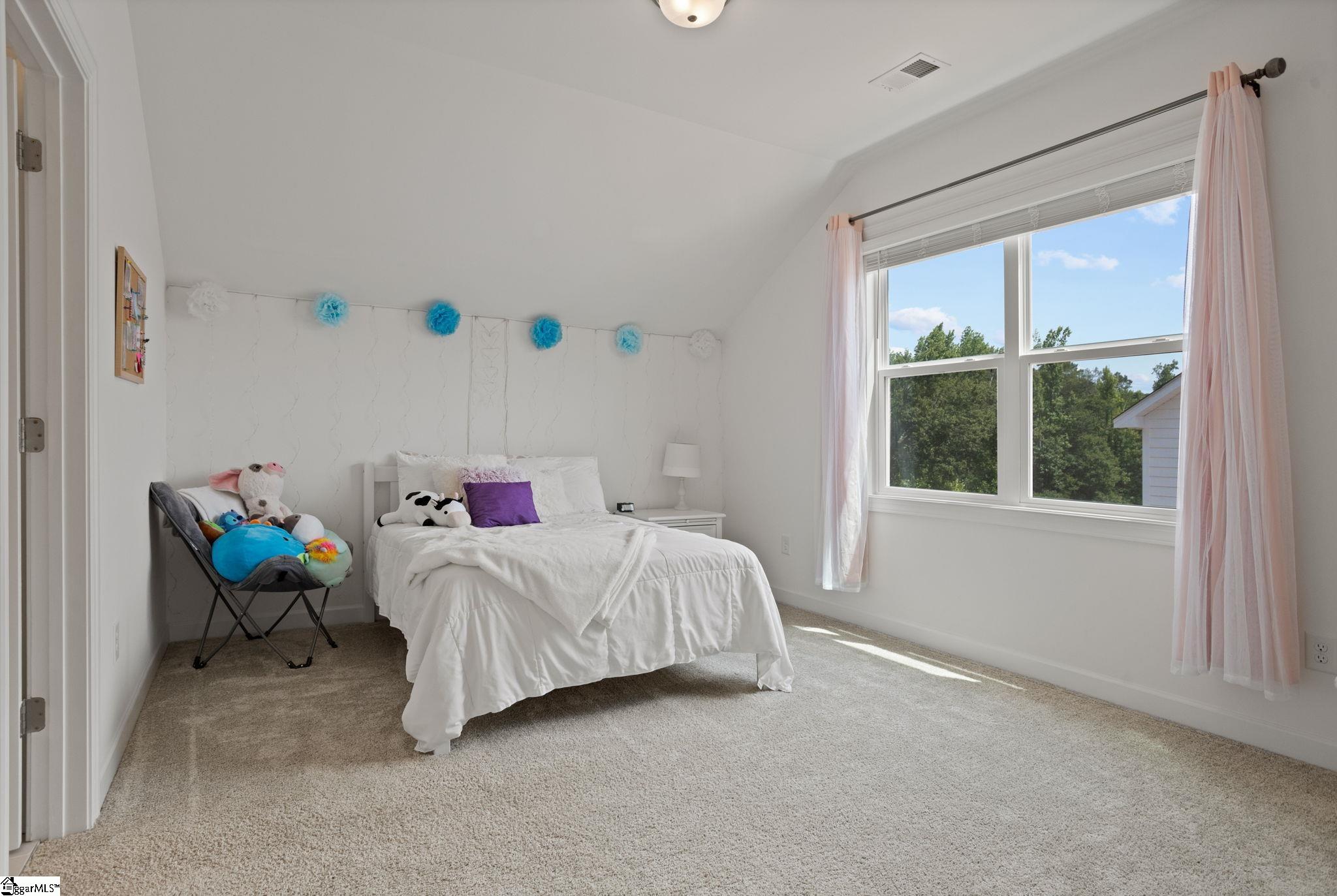719 Enoree River, Greer, South Carolina image 19