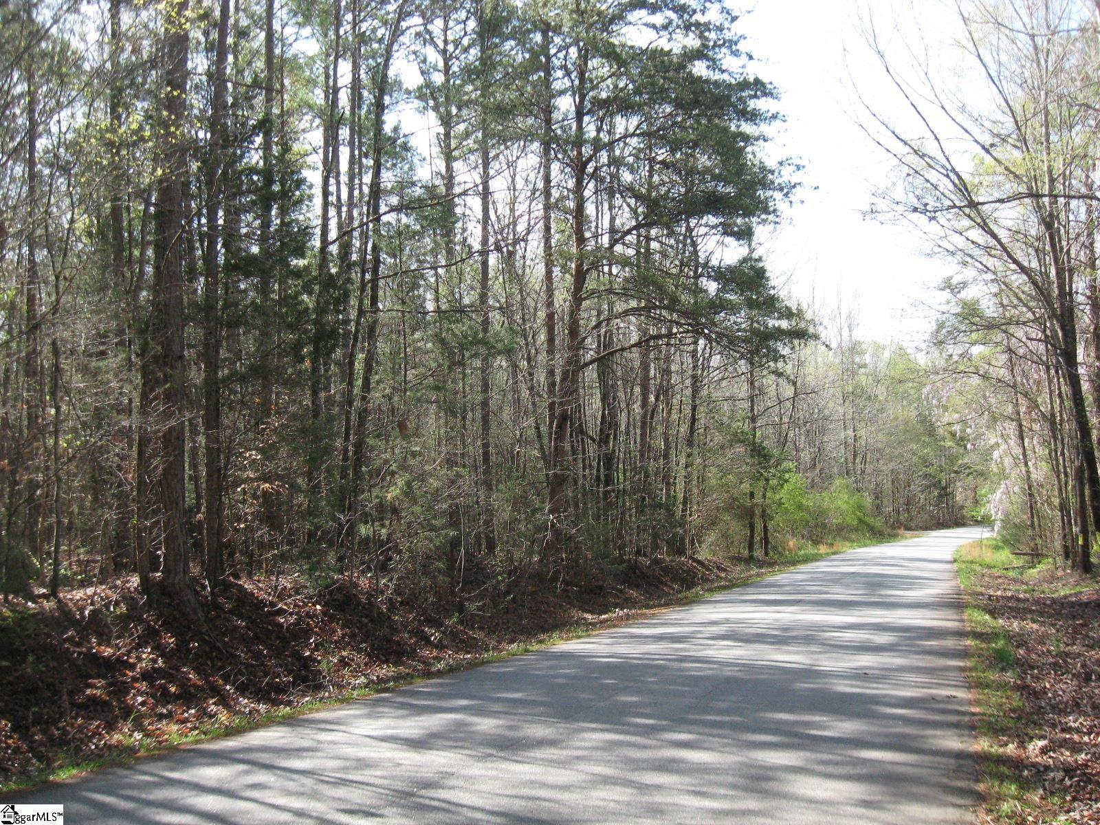 Peden, Fountain Inn, South Carolina image 1
