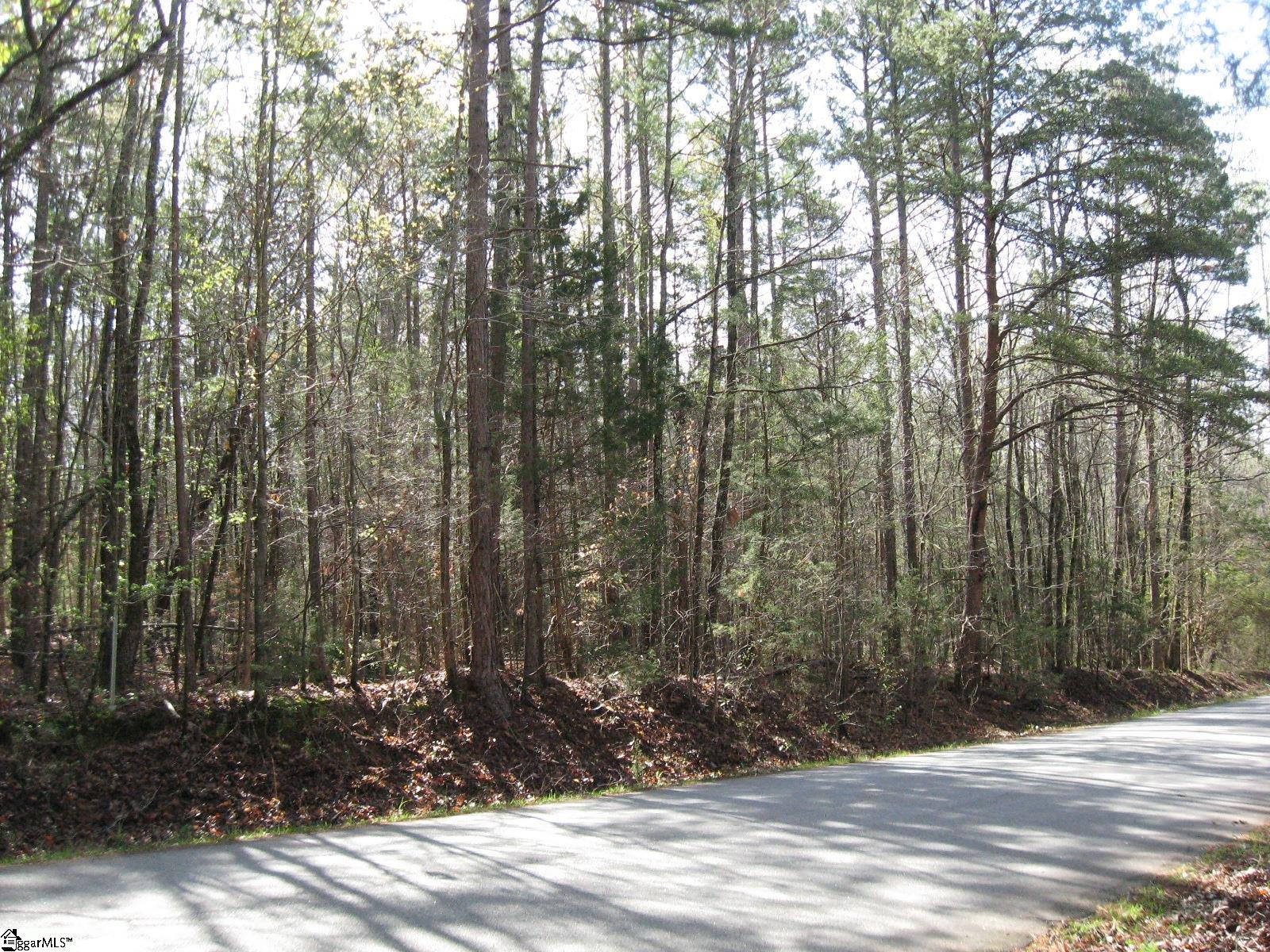 Peden, Fountain Inn, South Carolina image 2