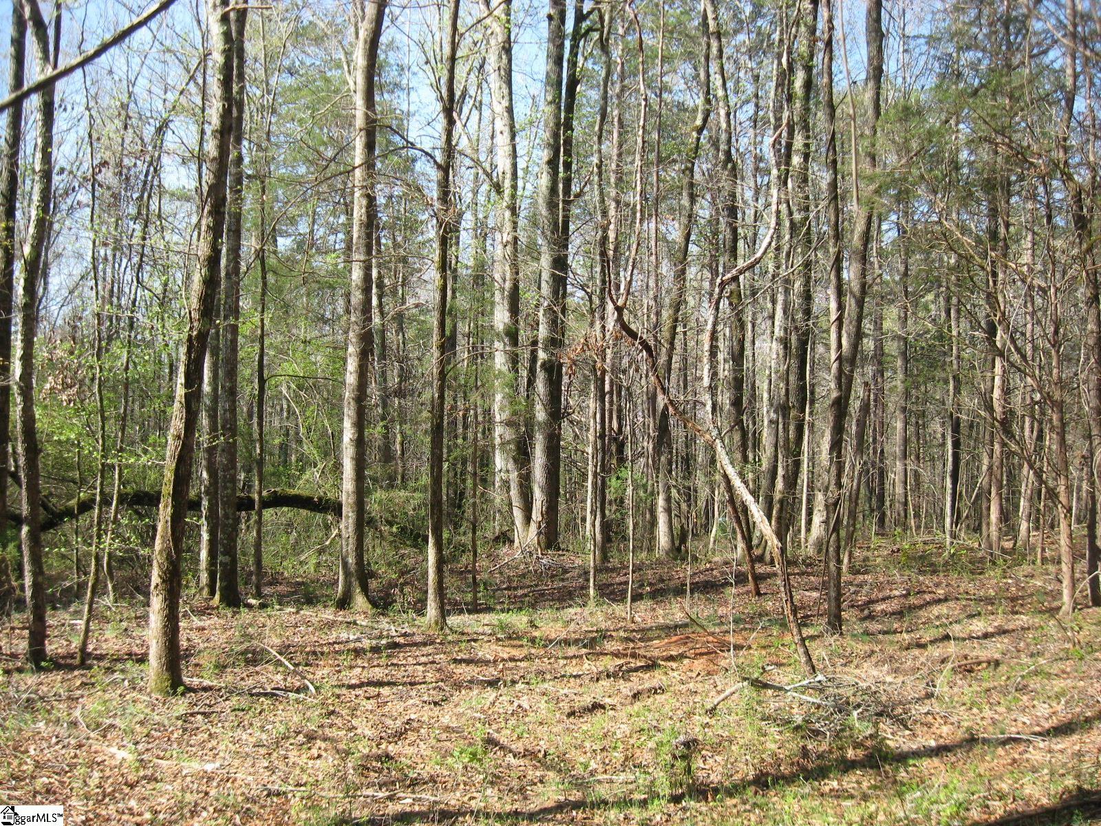 Peden, Fountain Inn, South Carolina image 4