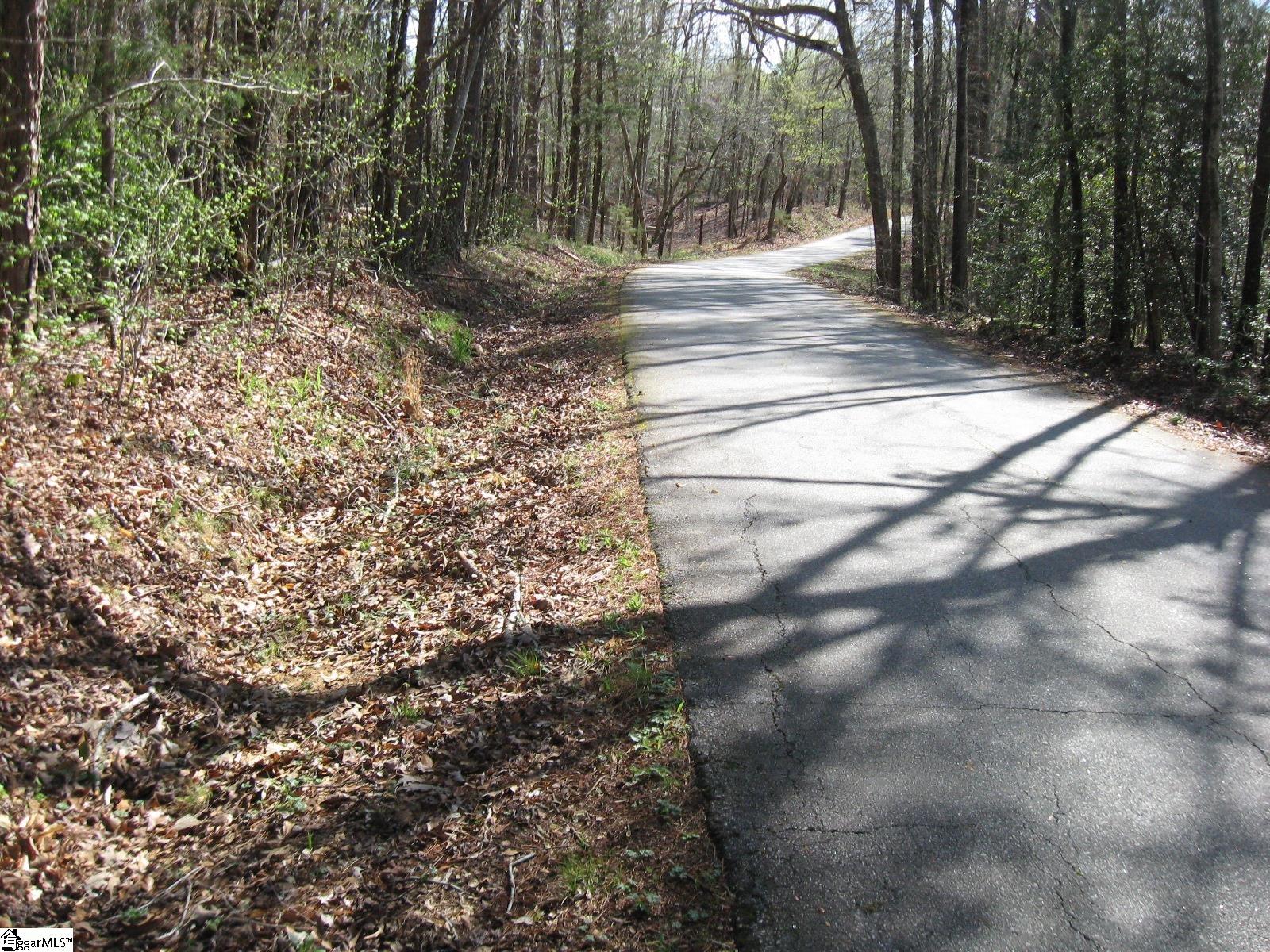 Peden, Fountain Inn, South Carolina image 6