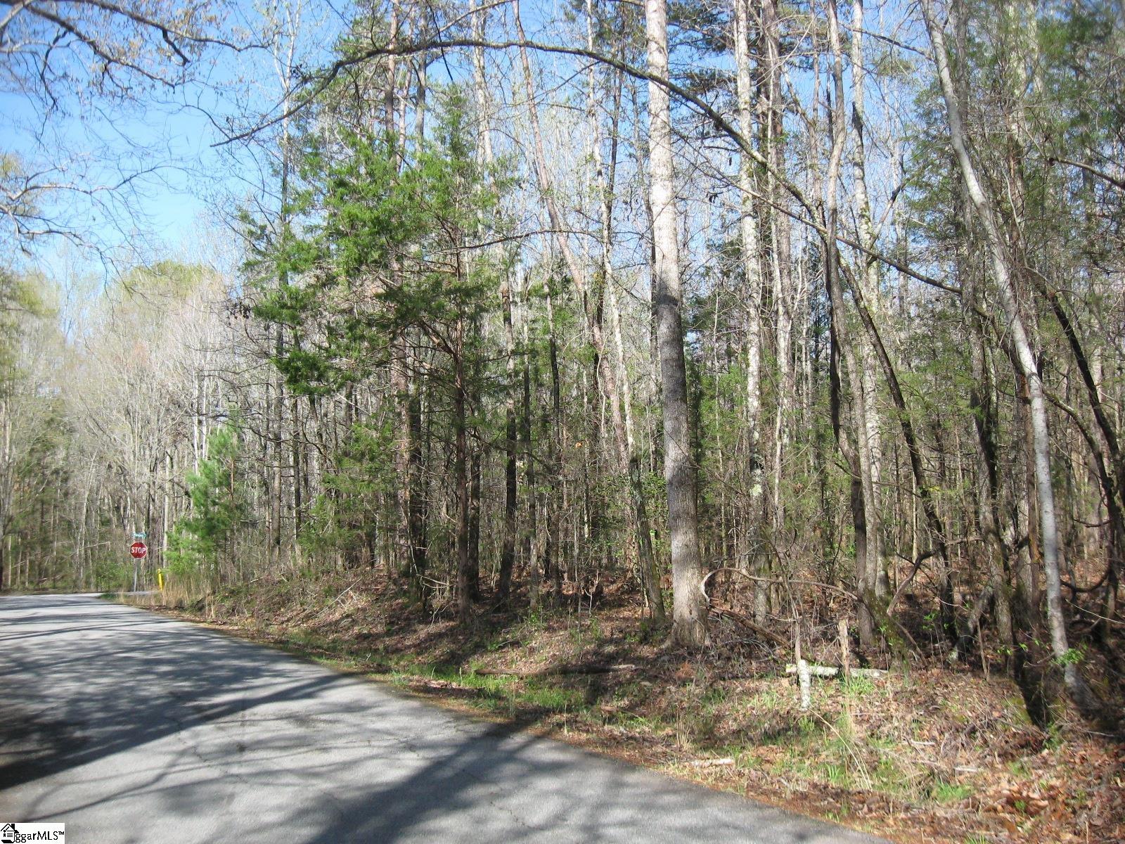 Peden, Fountain Inn, South Carolina image 7