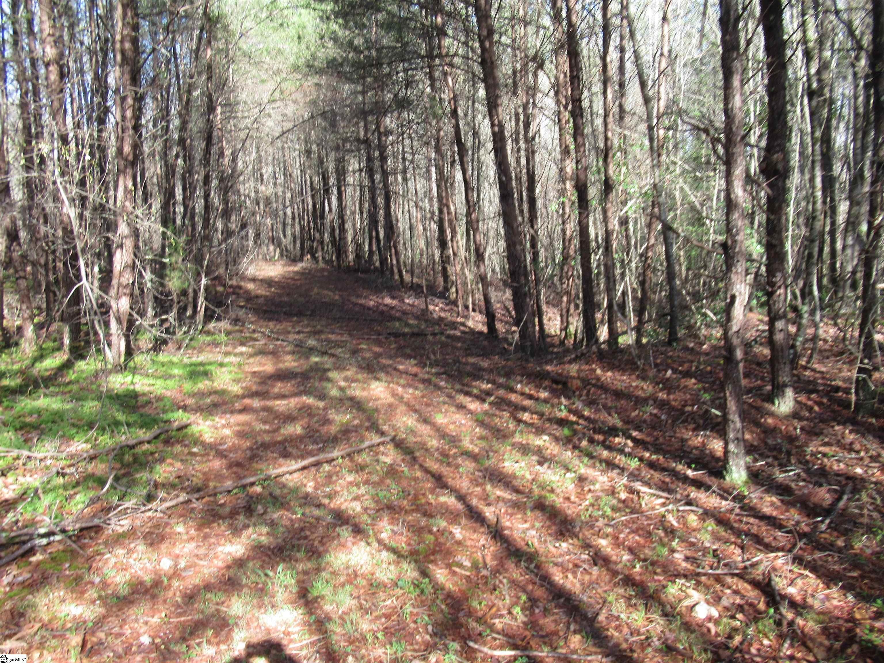 Amberway, Easley, South Carolina image 2