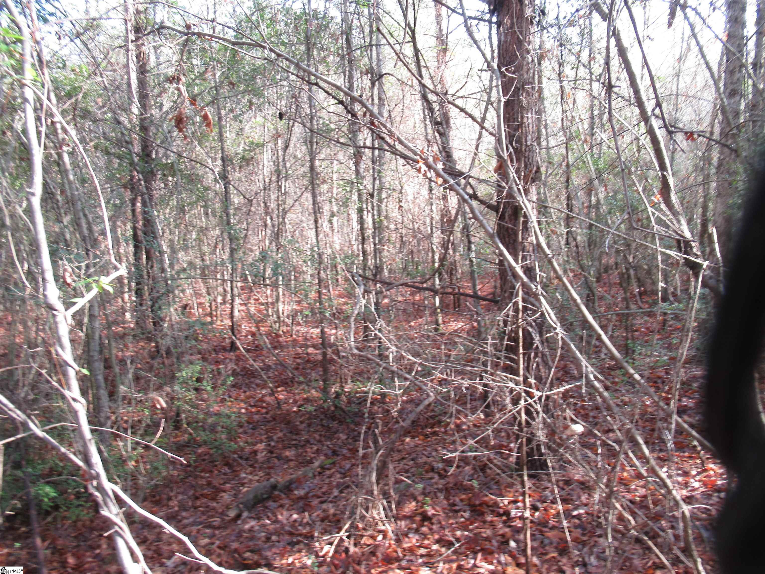 Amberway, Easley, South Carolina image 11