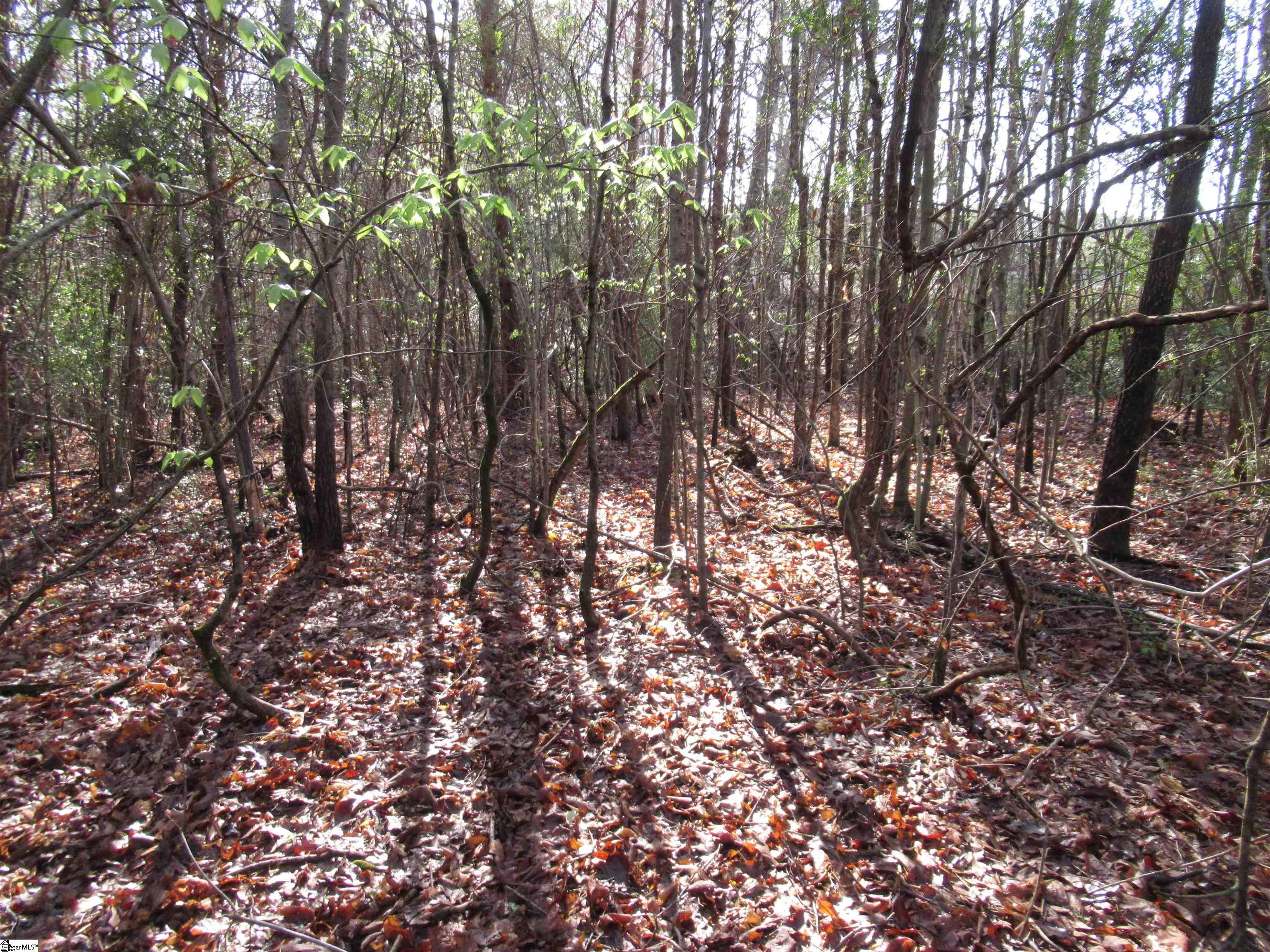 Amberway, Easley, South Carolina image 12