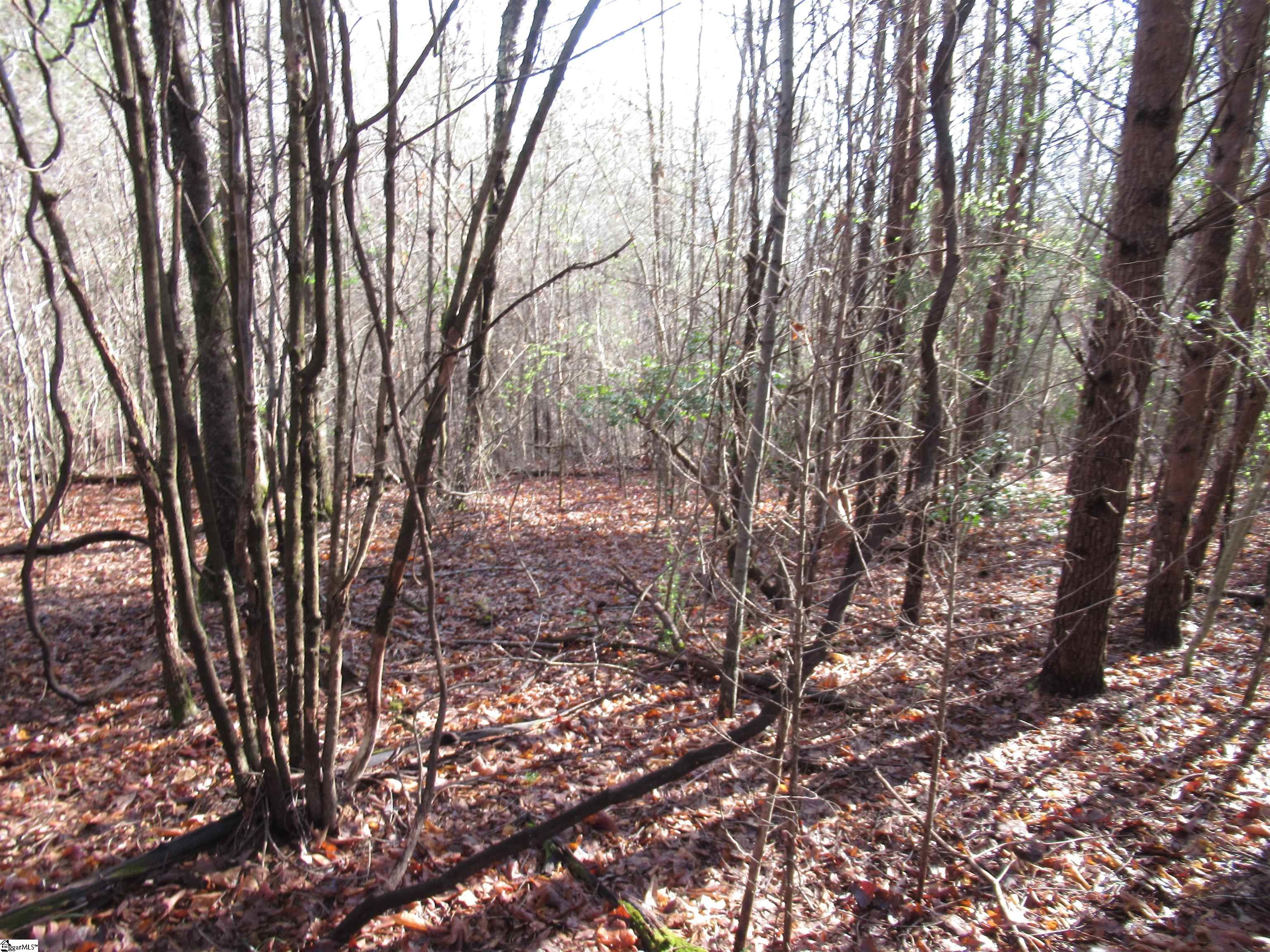 Amberway, Easley, South Carolina image 13
