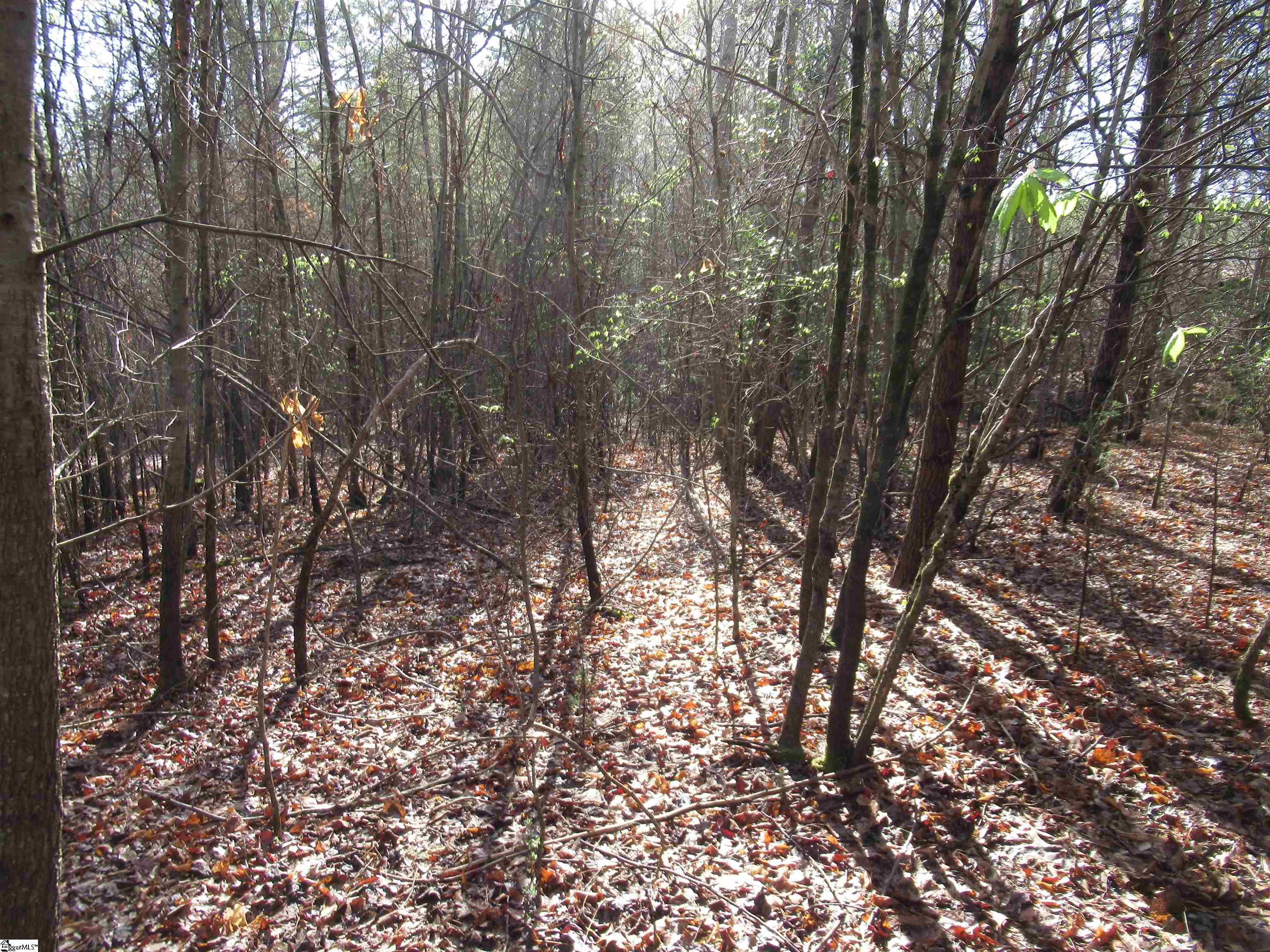 Amberway, Easley, South Carolina image 14
