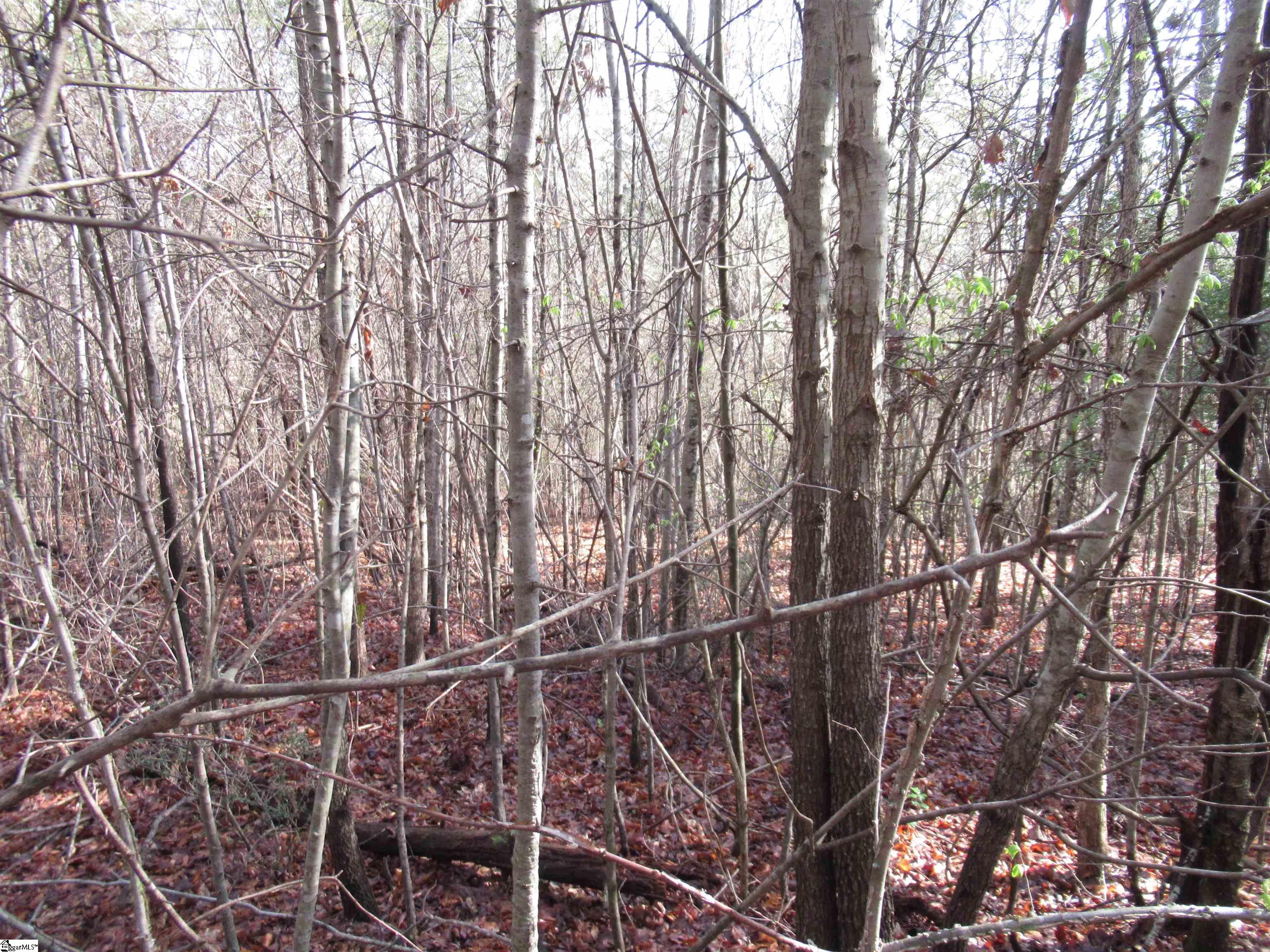 Amberway, Easley, South Carolina image 15