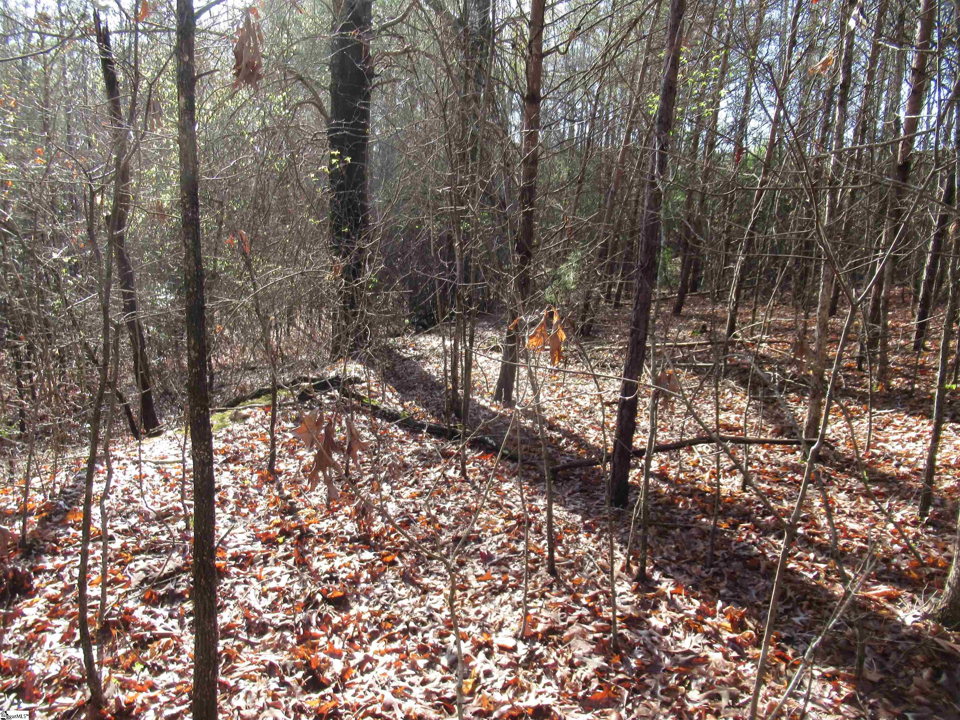 Amberway, Easley, South Carolina image 17