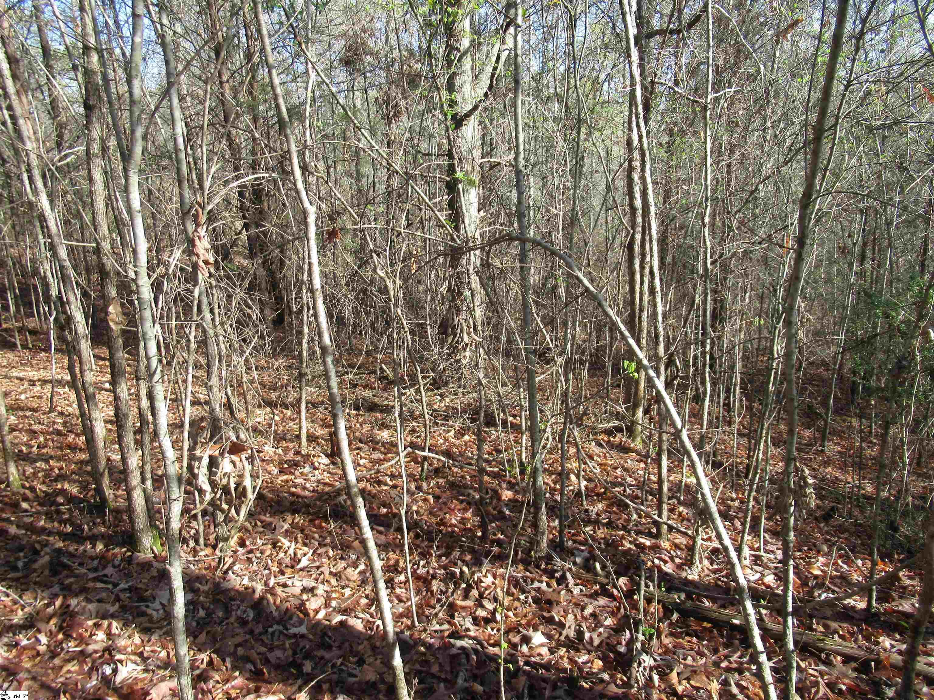 Amberway, Easley, South Carolina image 18