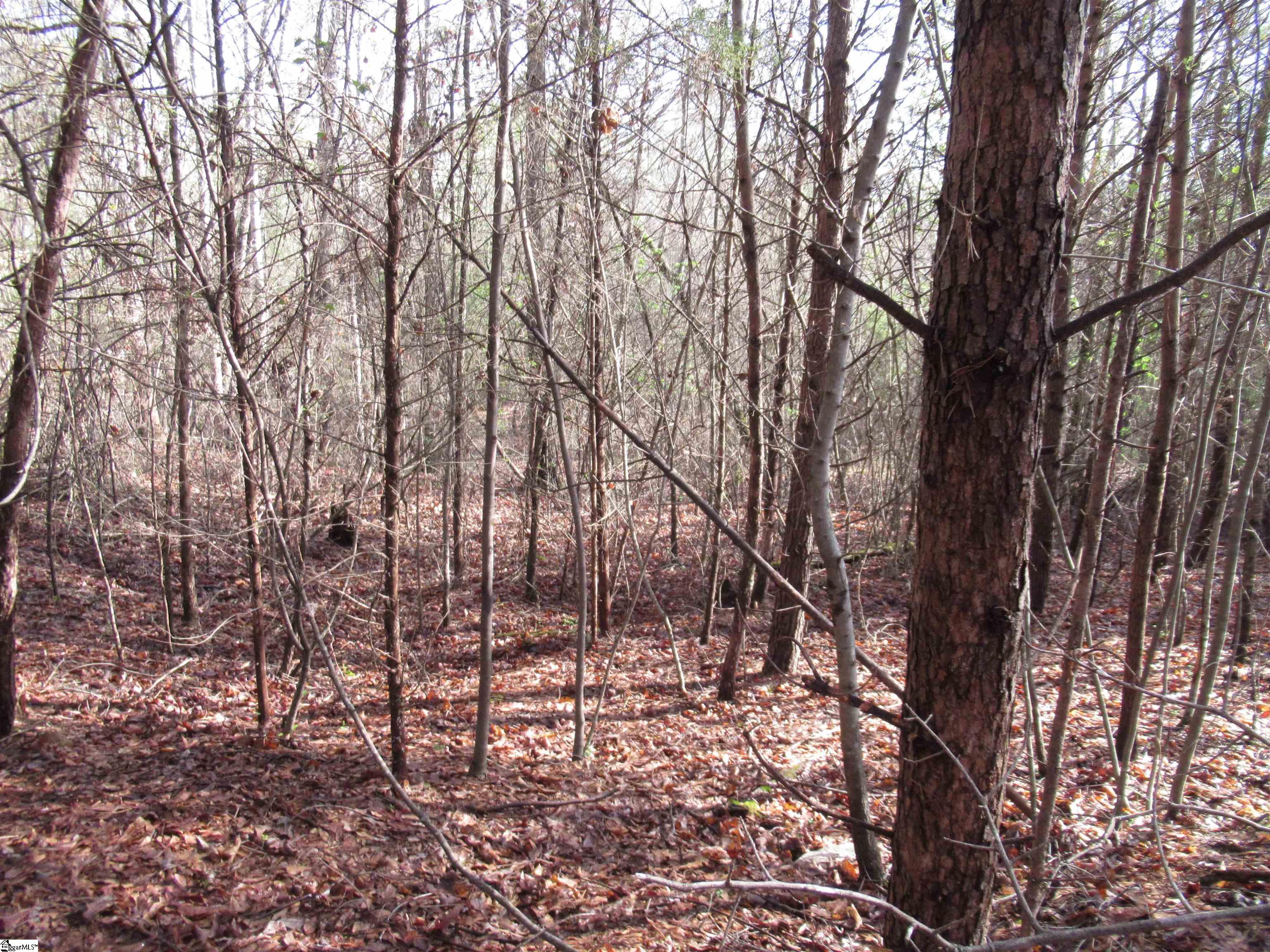 Amberway, Easley, South Carolina image 19