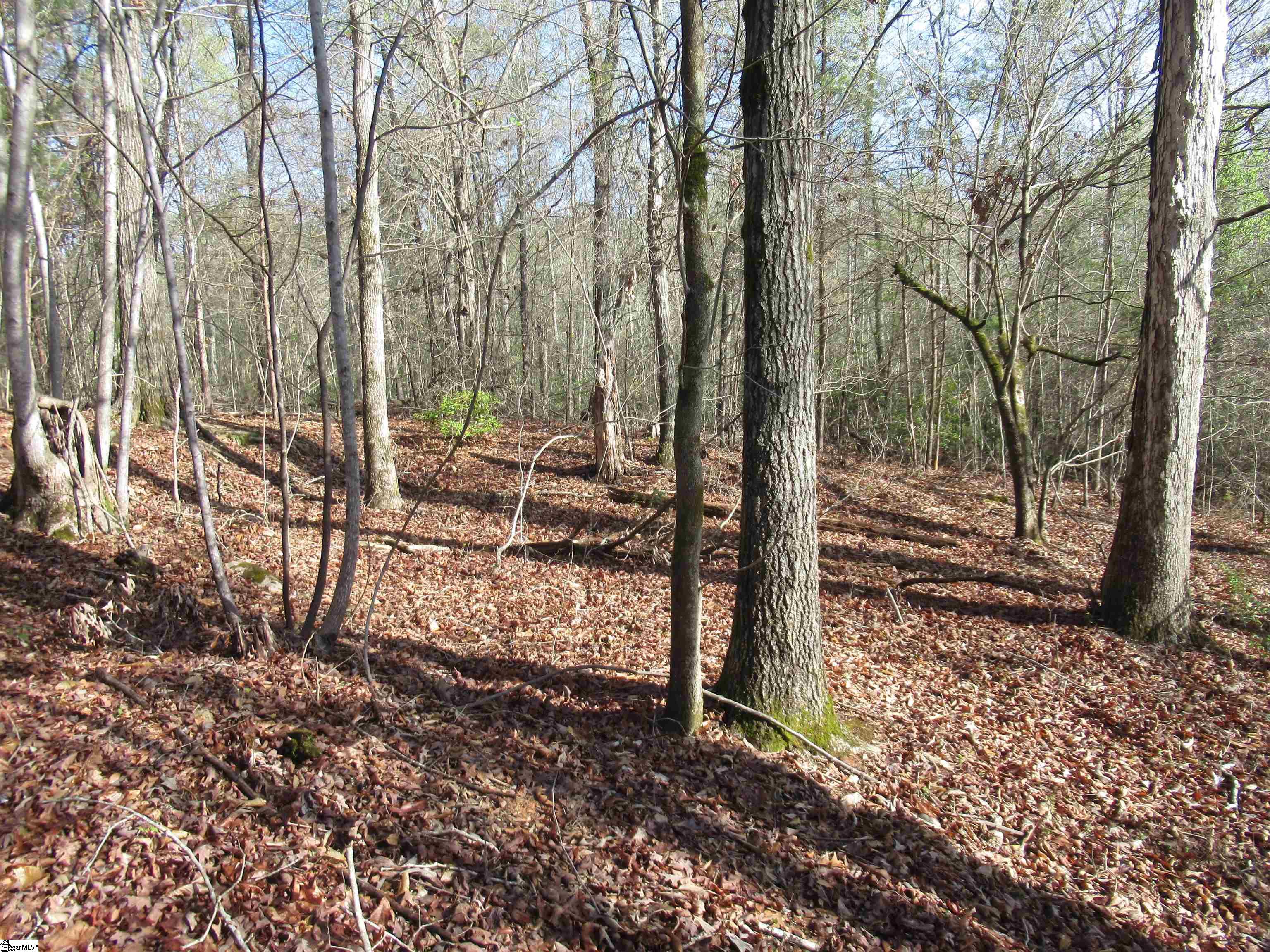Amberway, Easley, South Carolina image 20