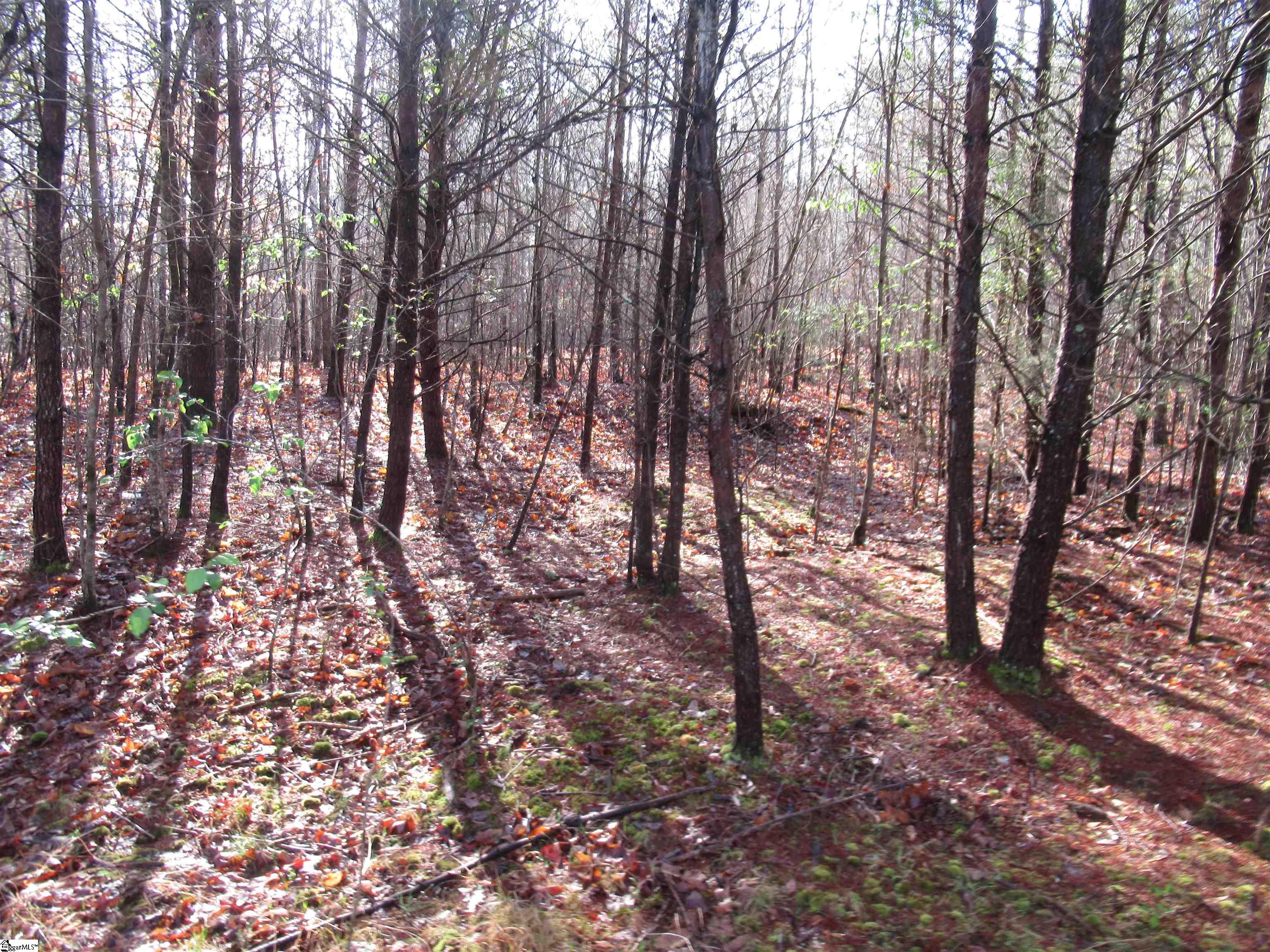 Amberway, Easley, South Carolina image 3