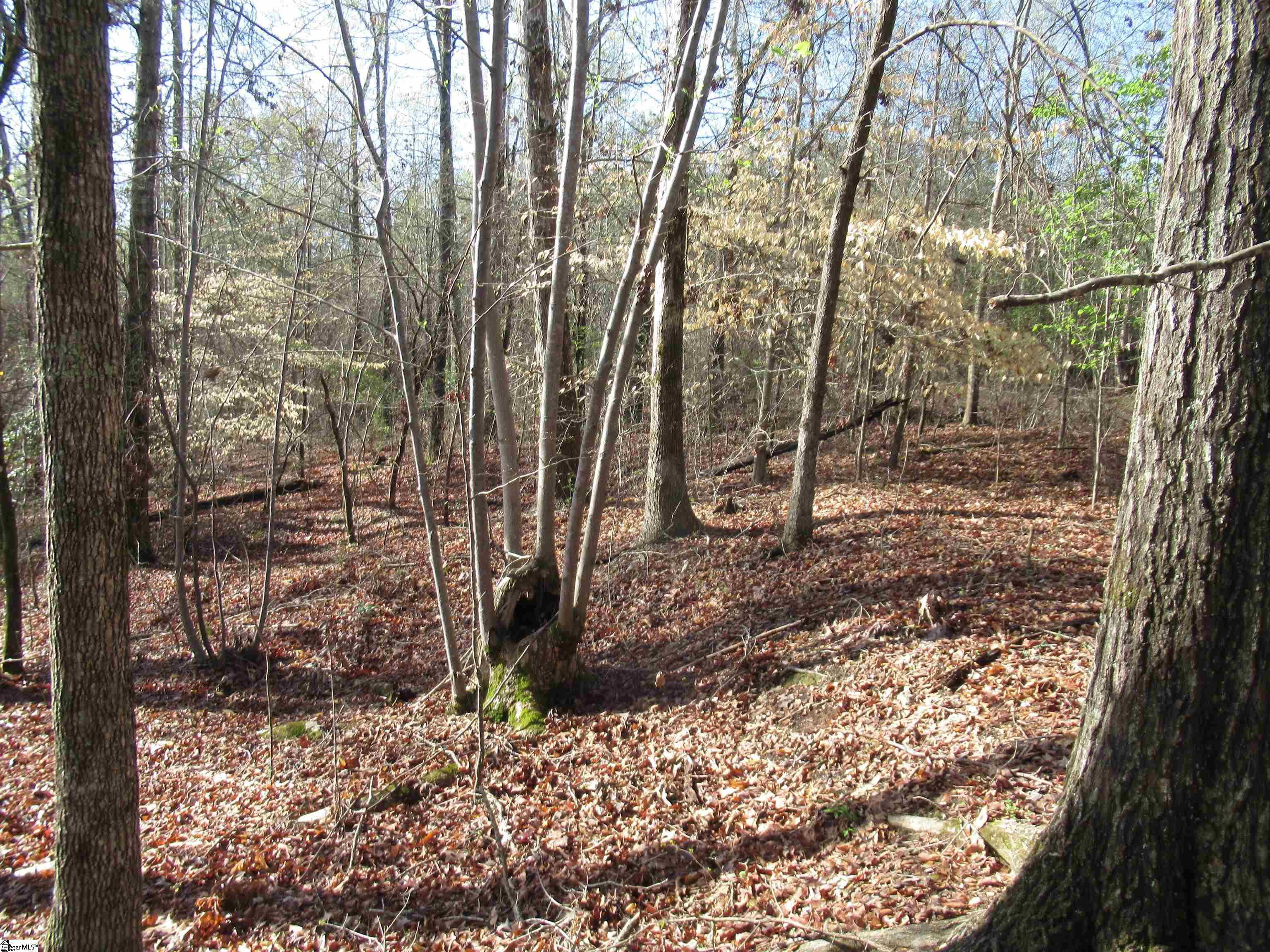 Amberway, Easley, South Carolina image 21