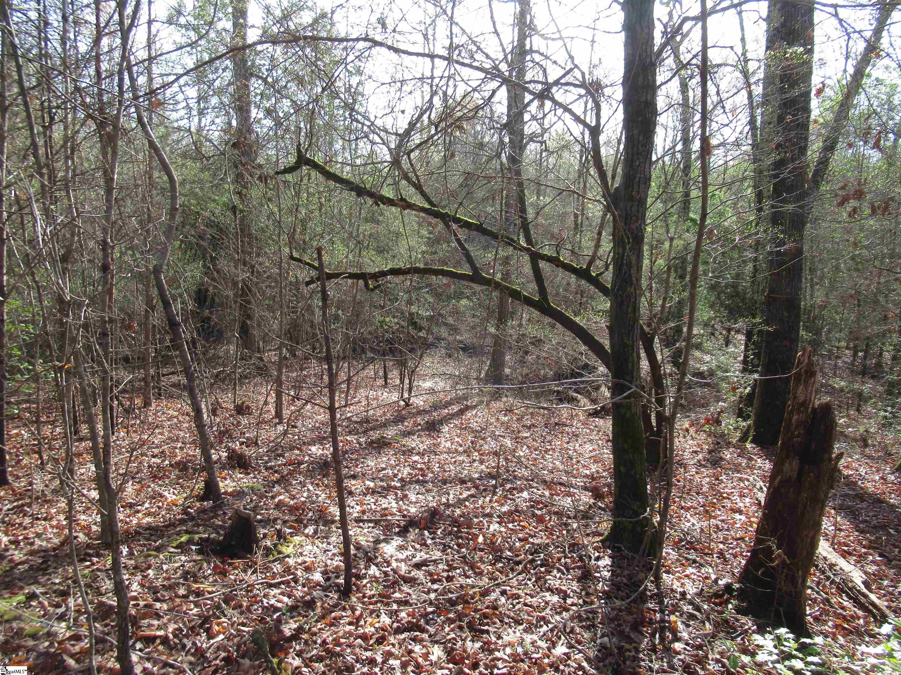 Amberway, Easley, South Carolina image 22