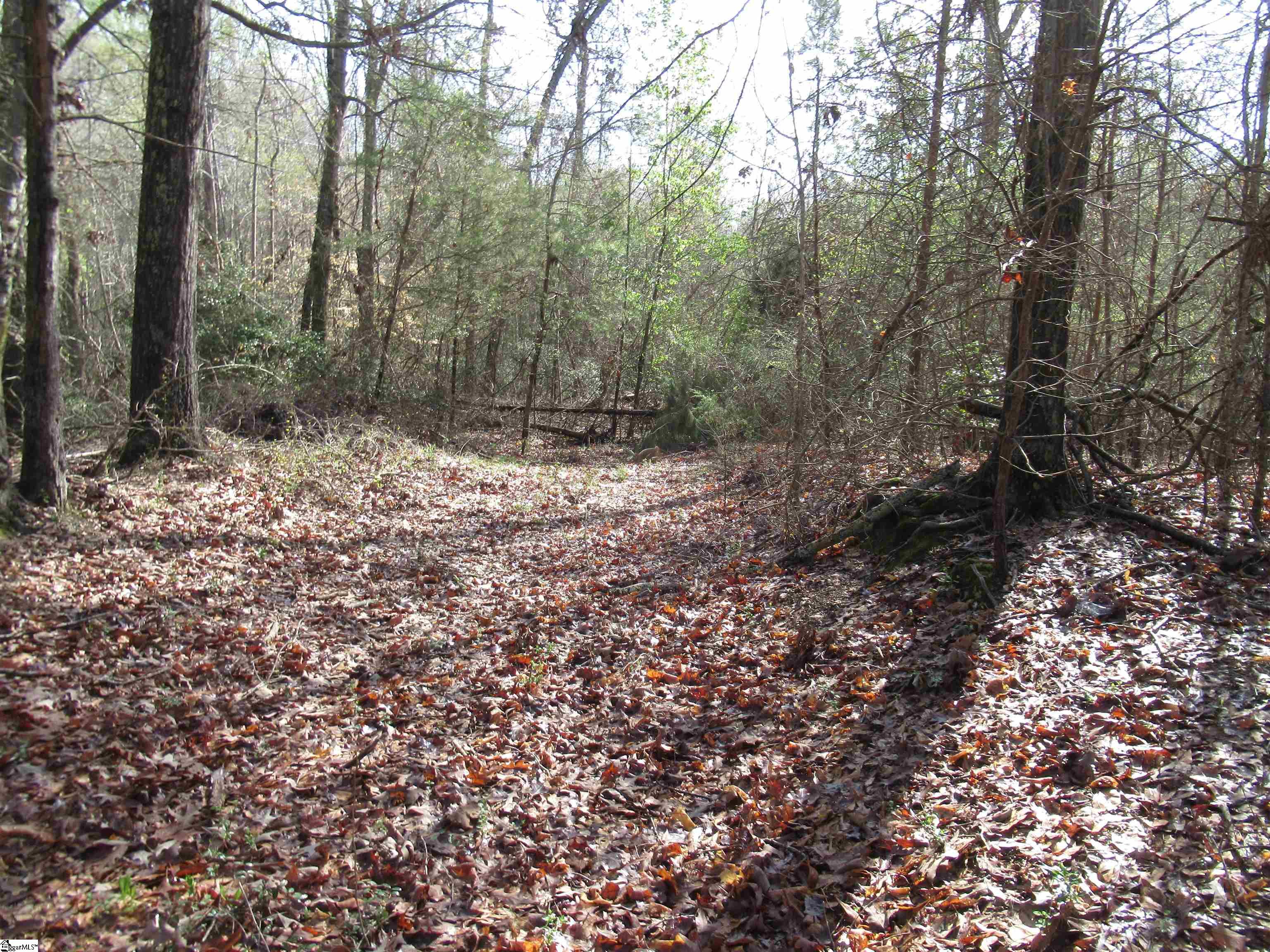 Amberway, Easley, South Carolina image 24