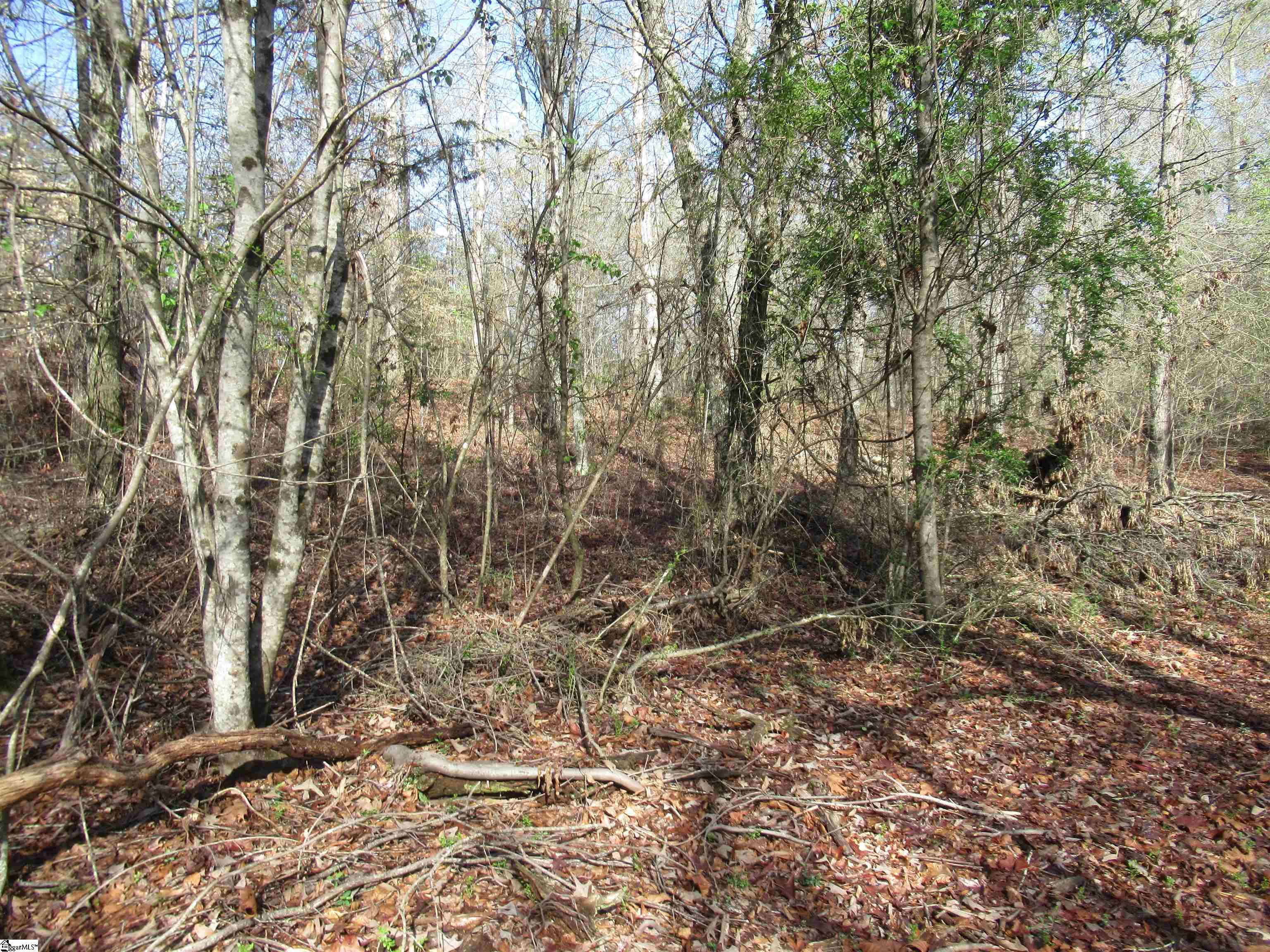 Amberway, Easley, South Carolina image 25