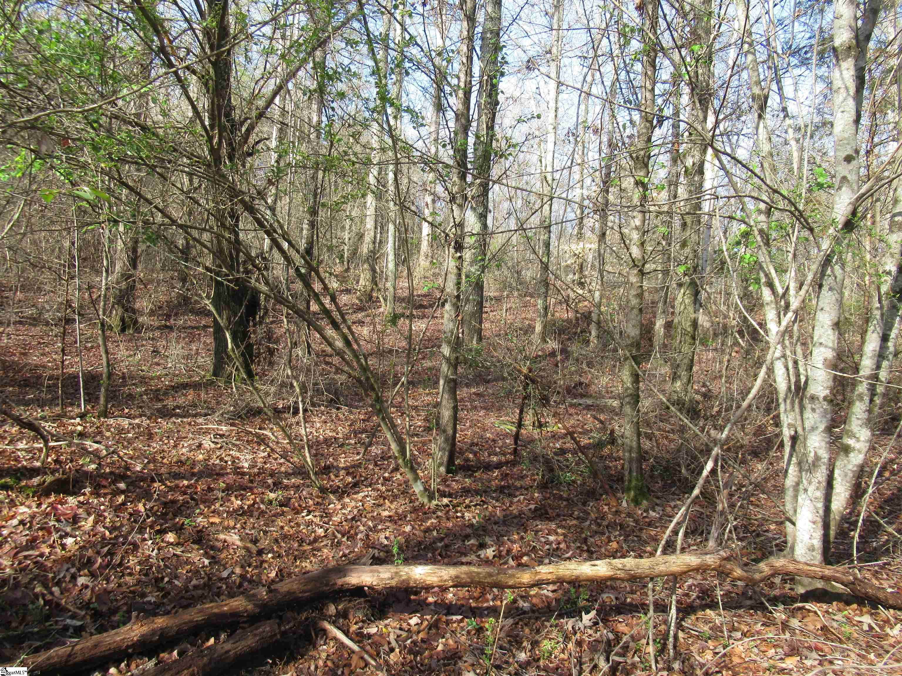 Amberway, Easley, South Carolina image 26