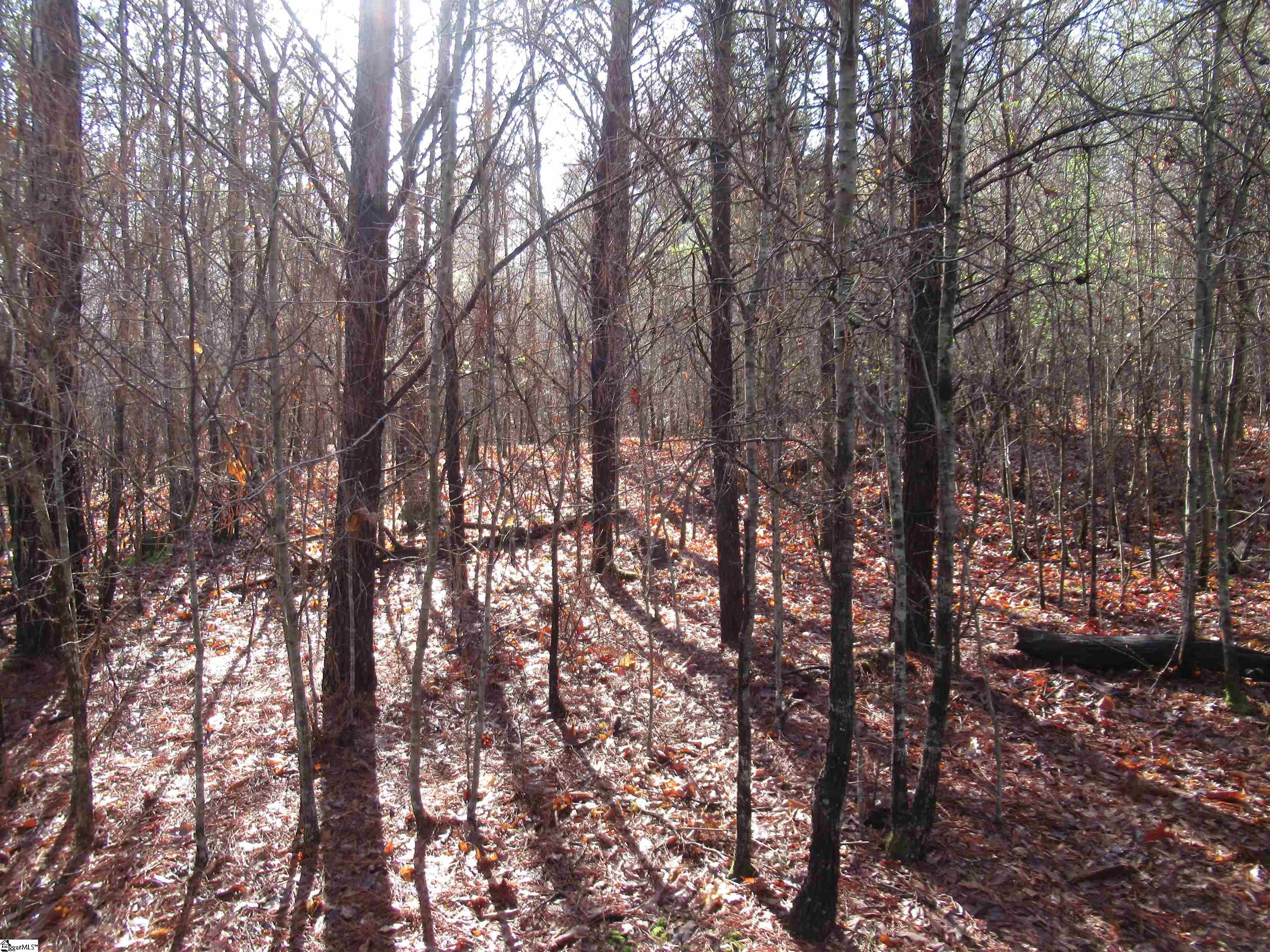 Amberway, Easley, South Carolina image 27