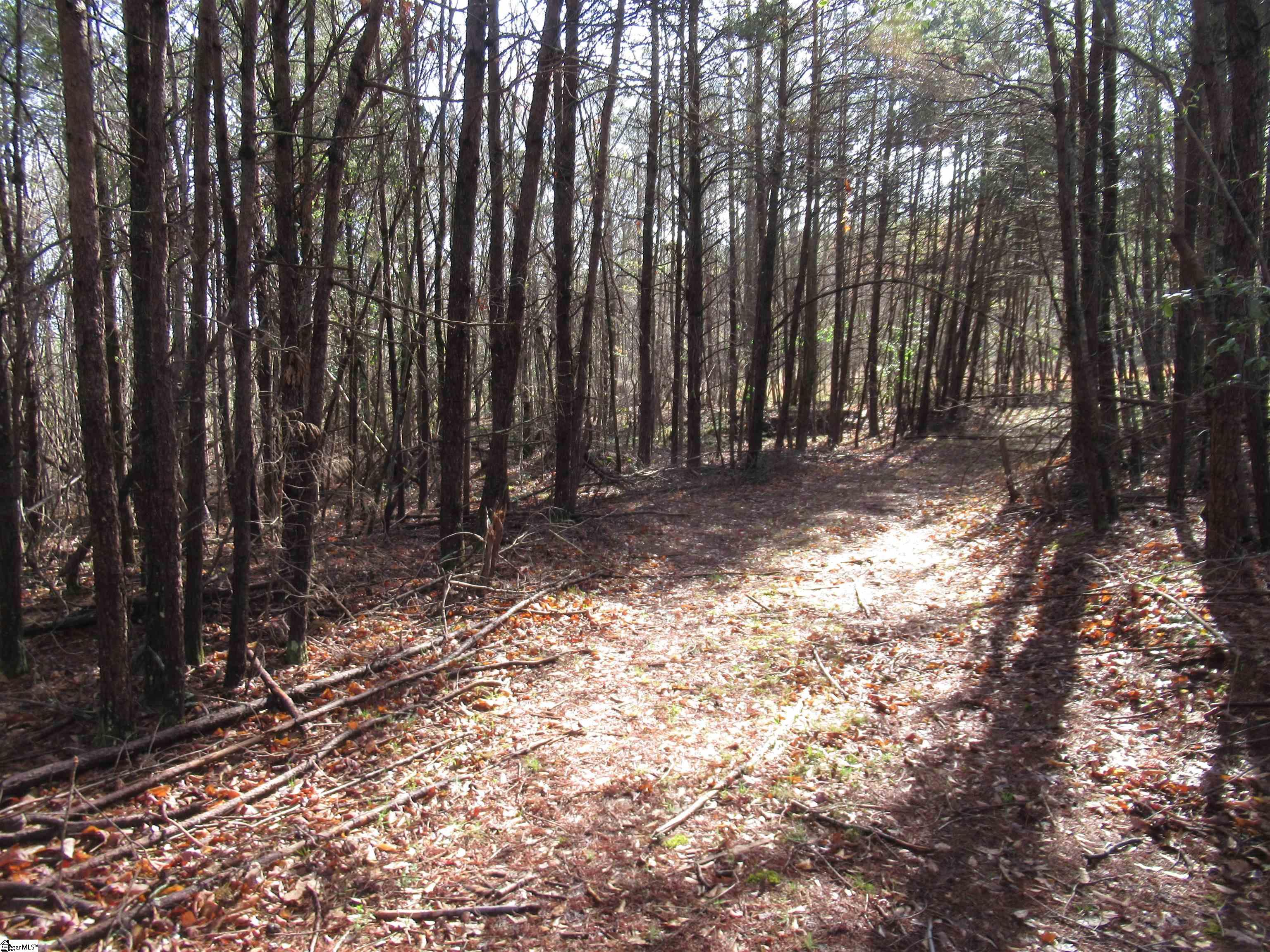 Amberway, Easley, South Carolina image 28