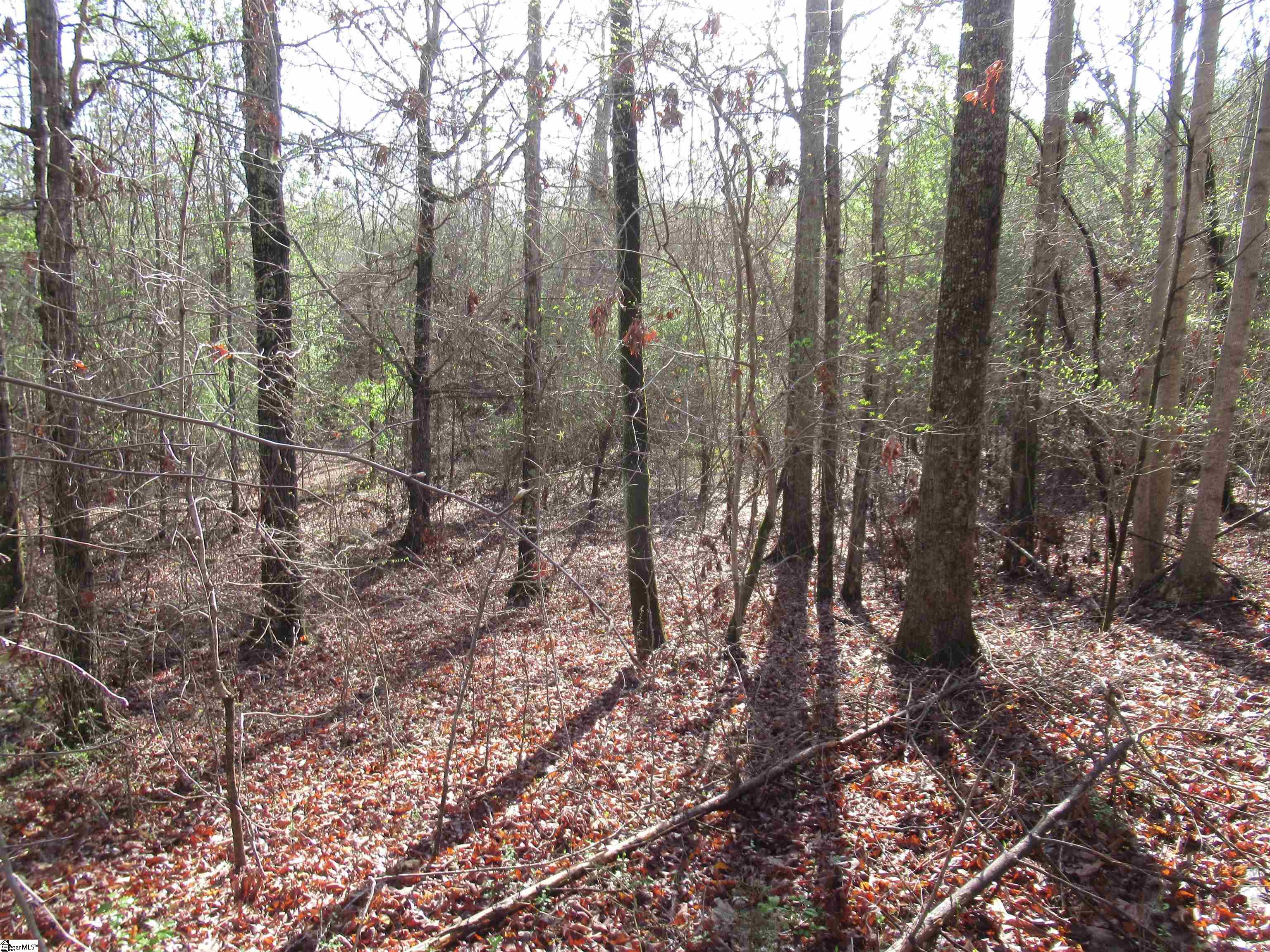 Amberway, Easley, South Carolina image 4