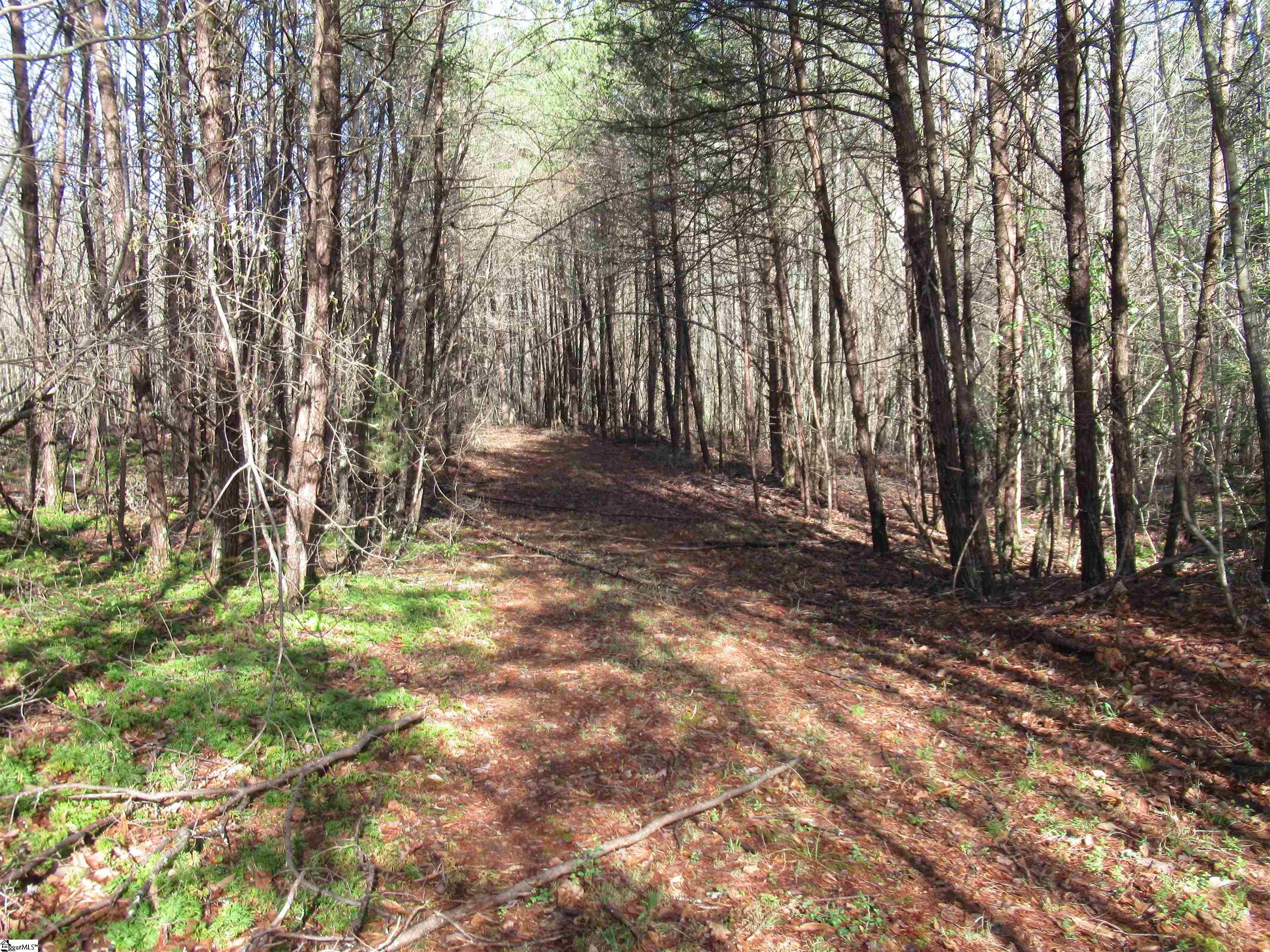 Amberway, Easley, South Carolina image 31