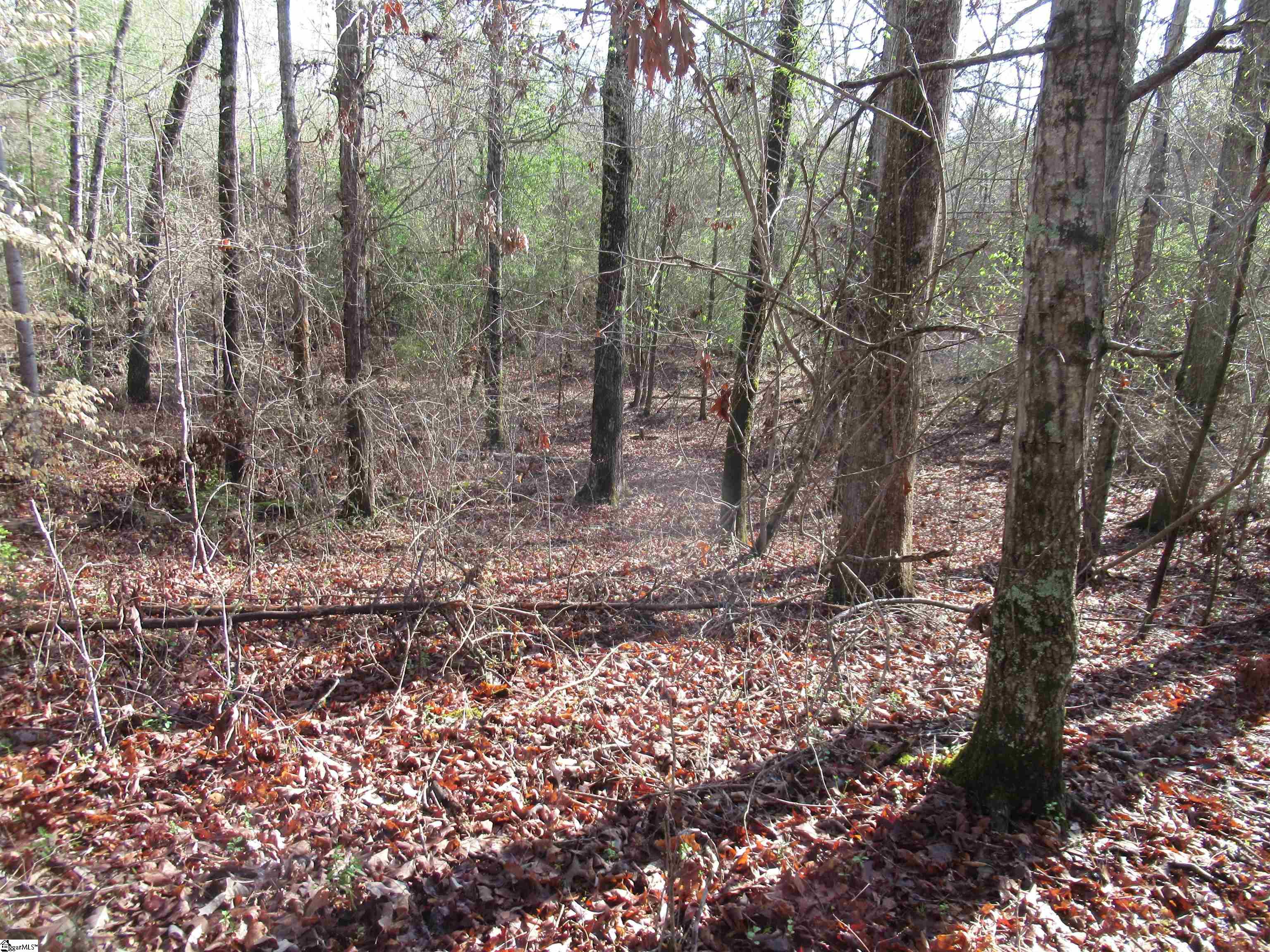 Amberway, Easley, South Carolina image 5
