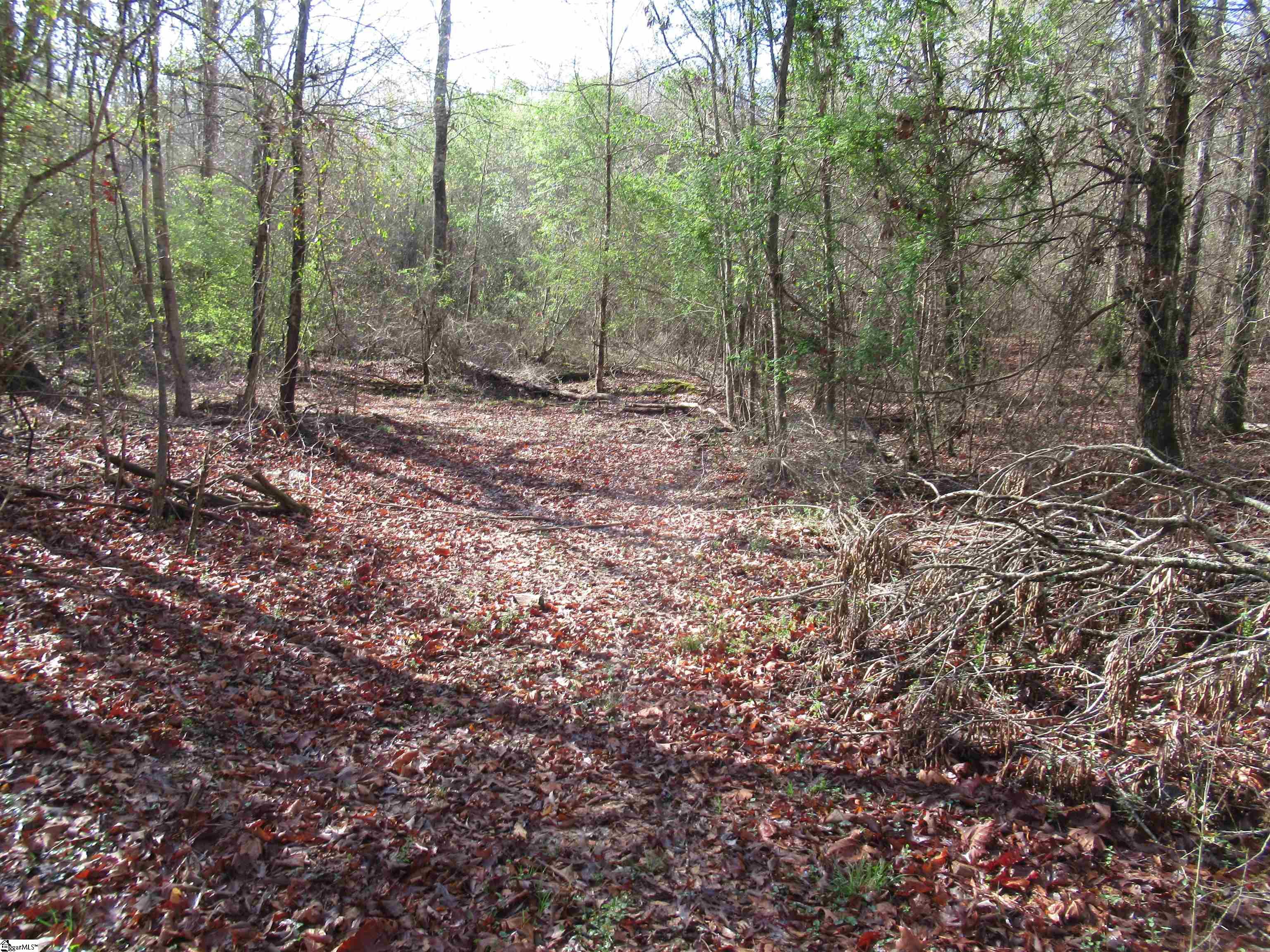 Amberway, Easley, South Carolina image 6