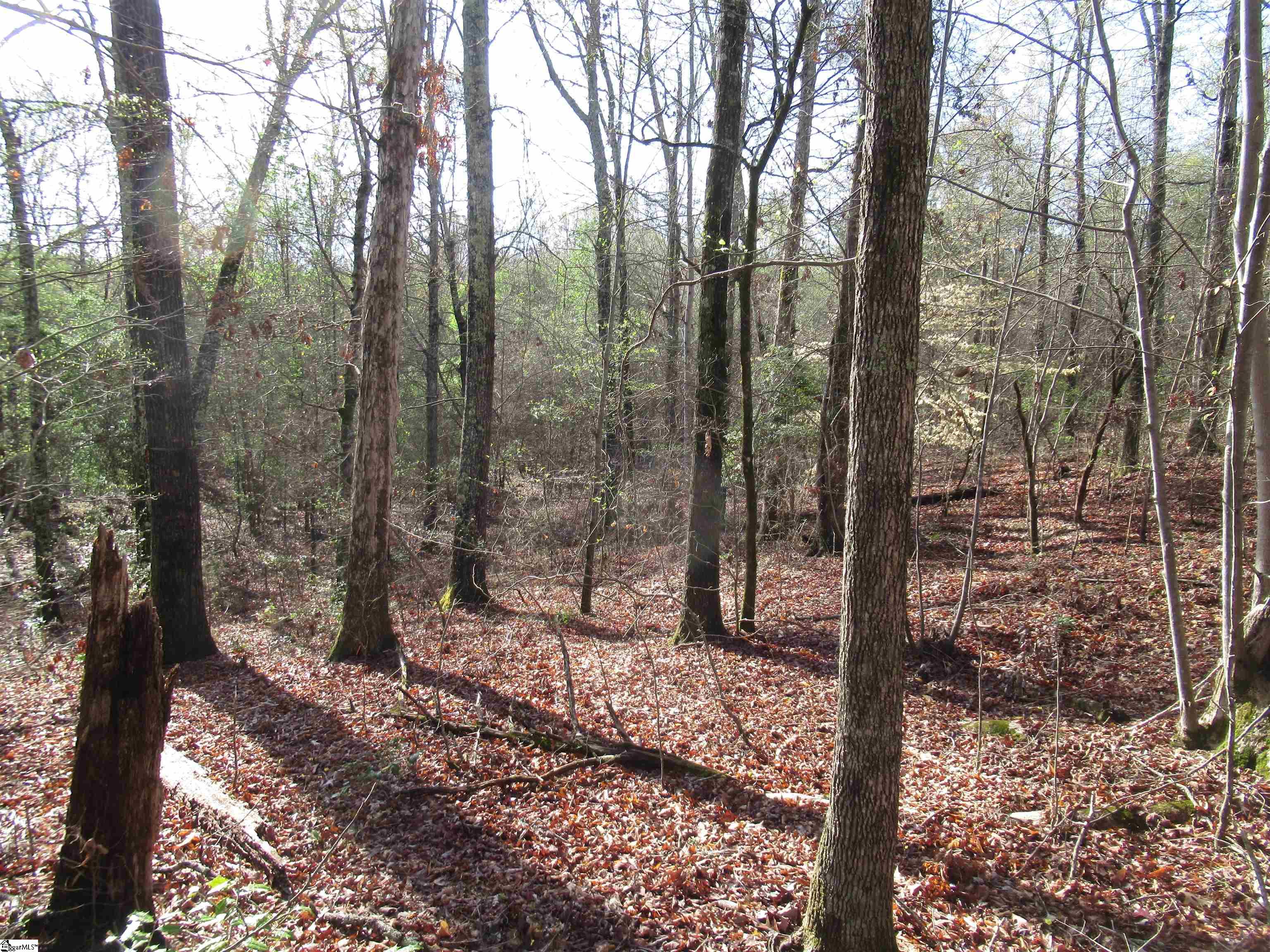Amberway, Easley, South Carolina image 7