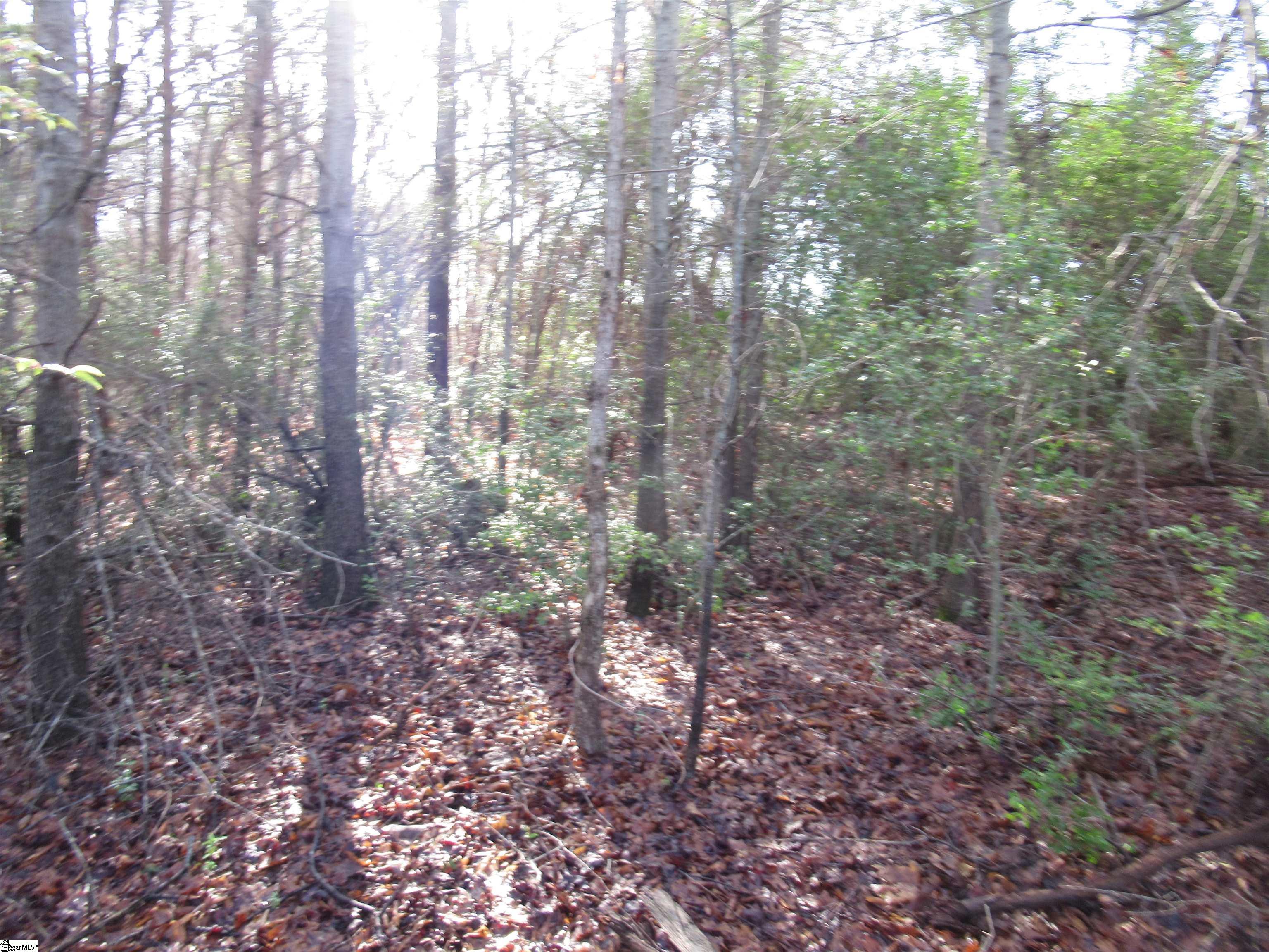 Amberway, Easley, South Carolina image 8