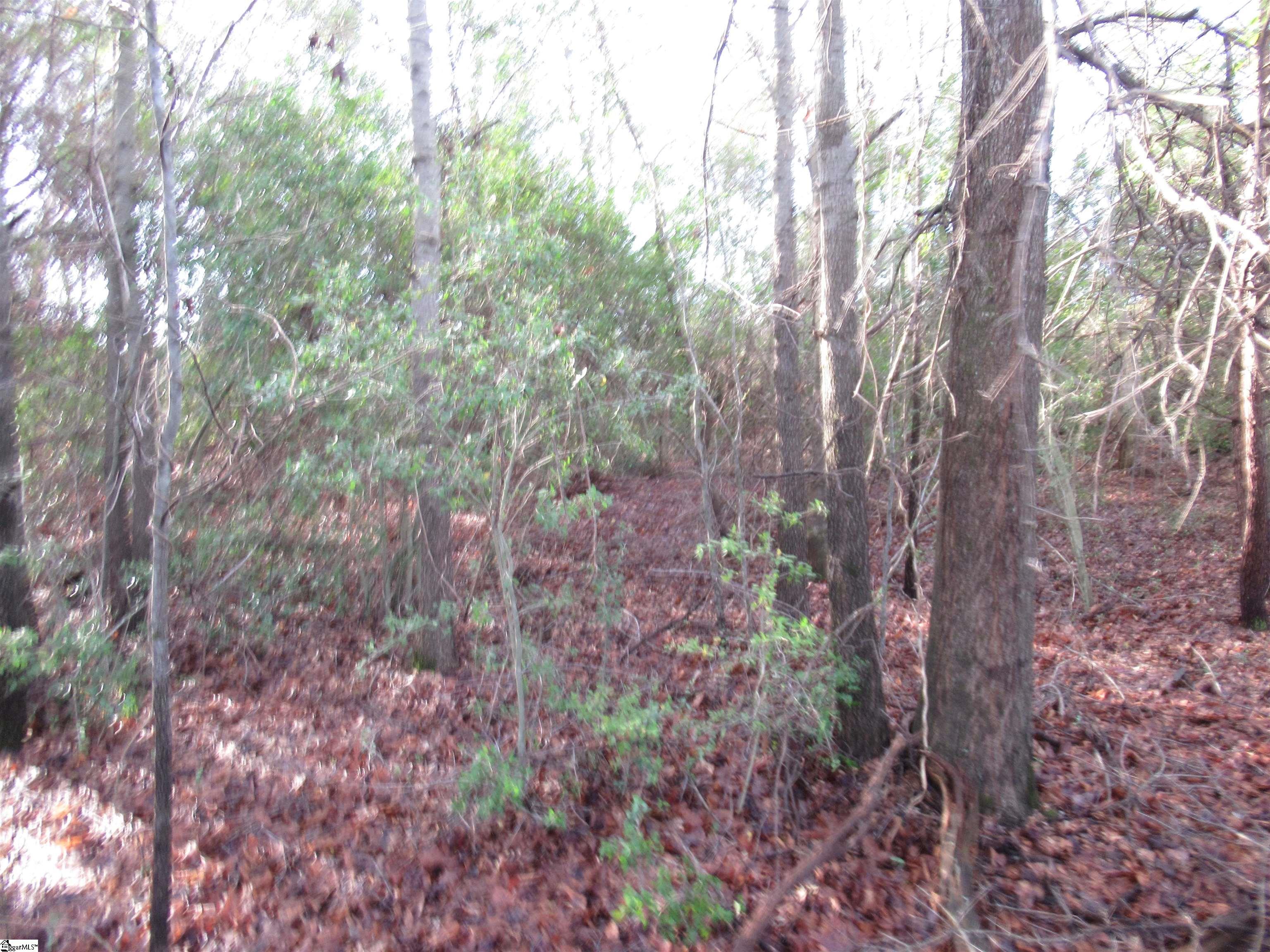 Amberway, Easley, South Carolina image 9