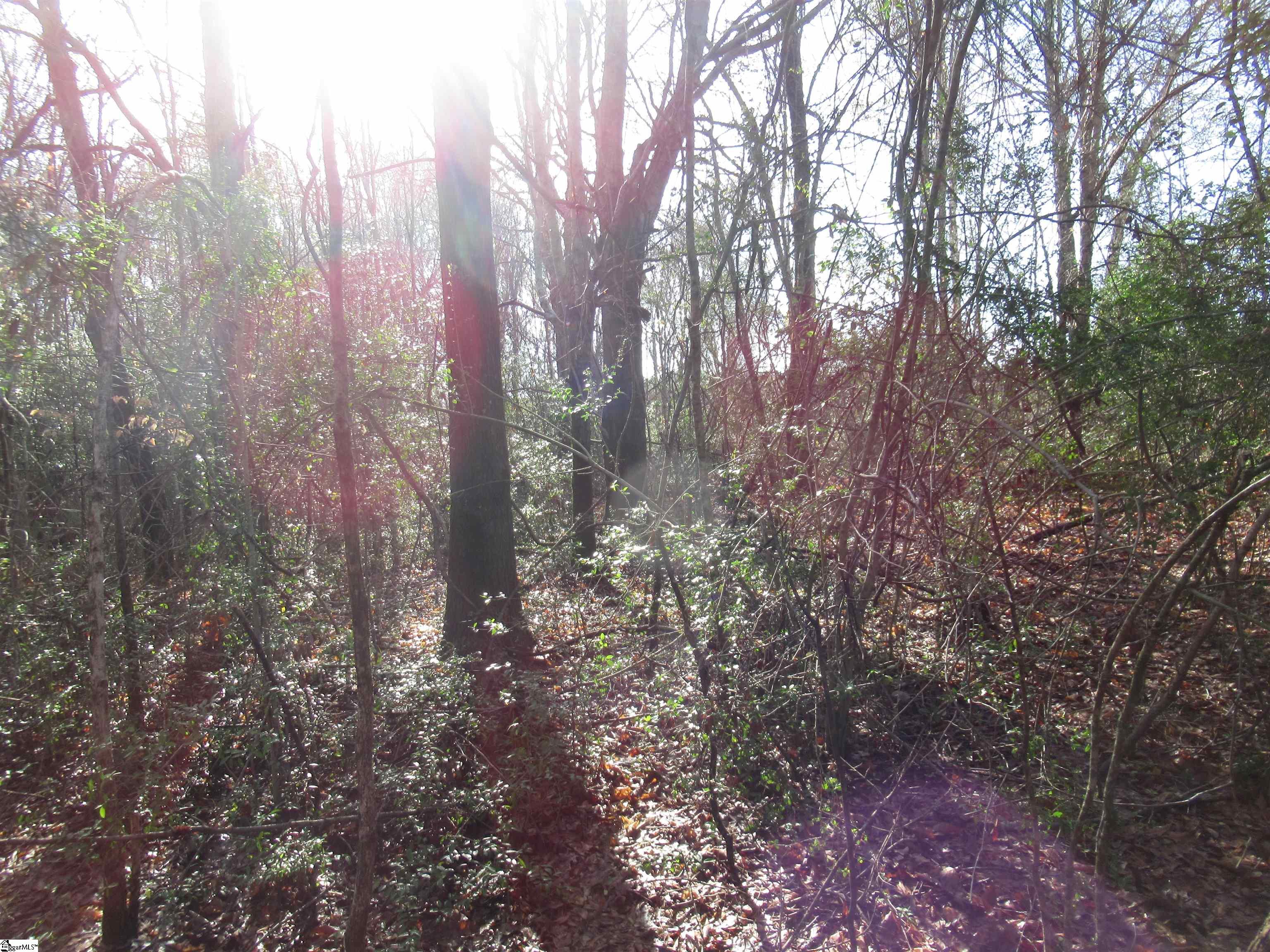 Amberway, Easley, South Carolina image 10