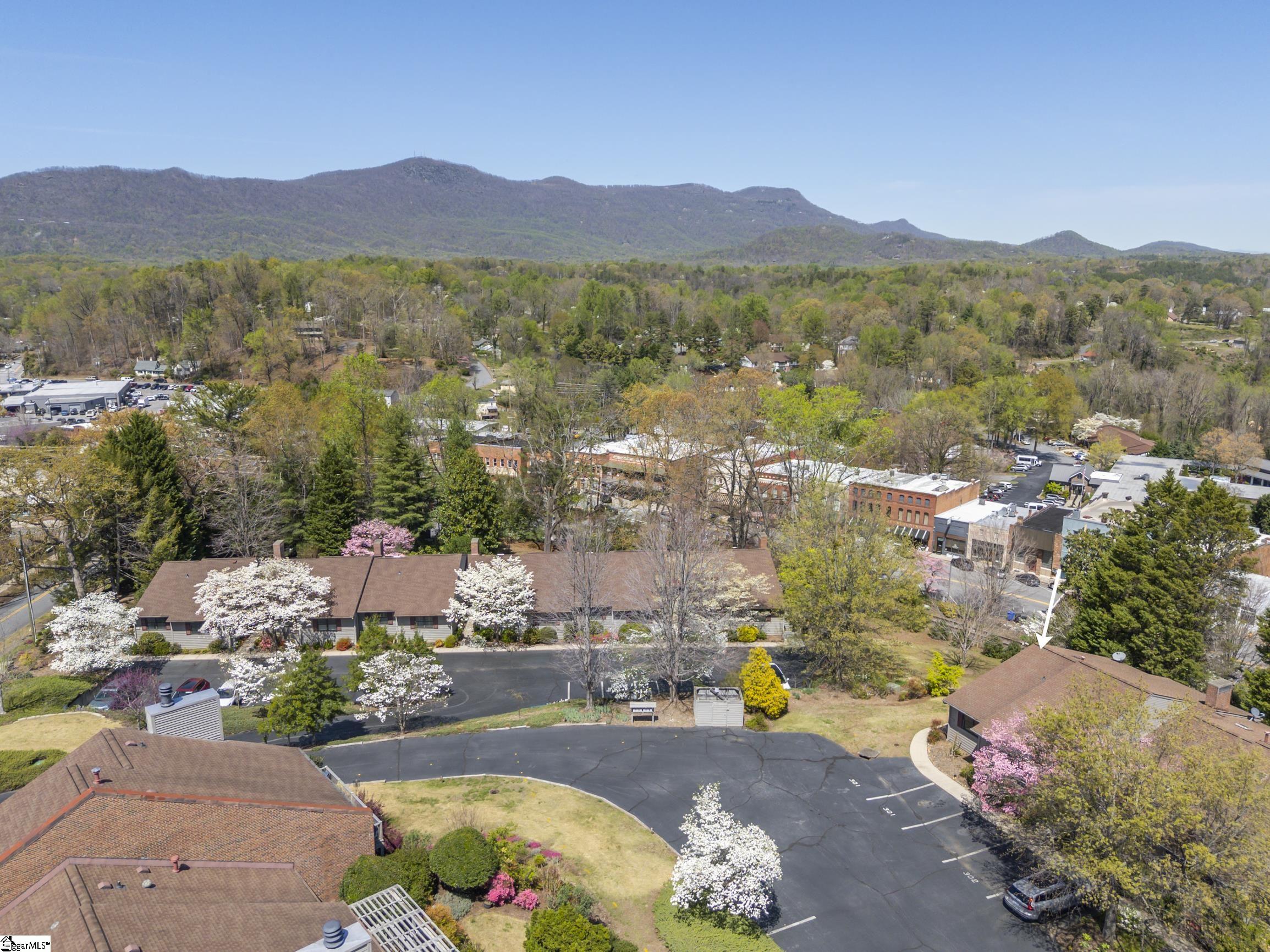 77 Chestnut, Tryon, North Carolina image 40
