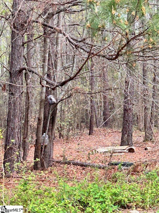 314A Tall Pines, Fountain Inn, South Carolina image 1