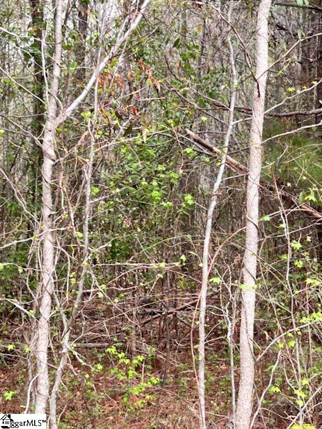 312A Tall Pines, Fountain Inn, South Carolina image 2