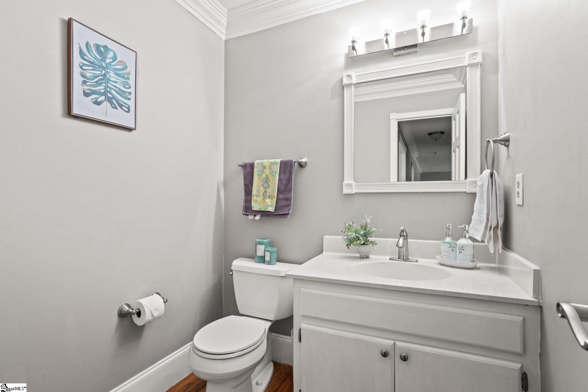 209 Squires Creek, Simpsonville, South Carolina image 19
