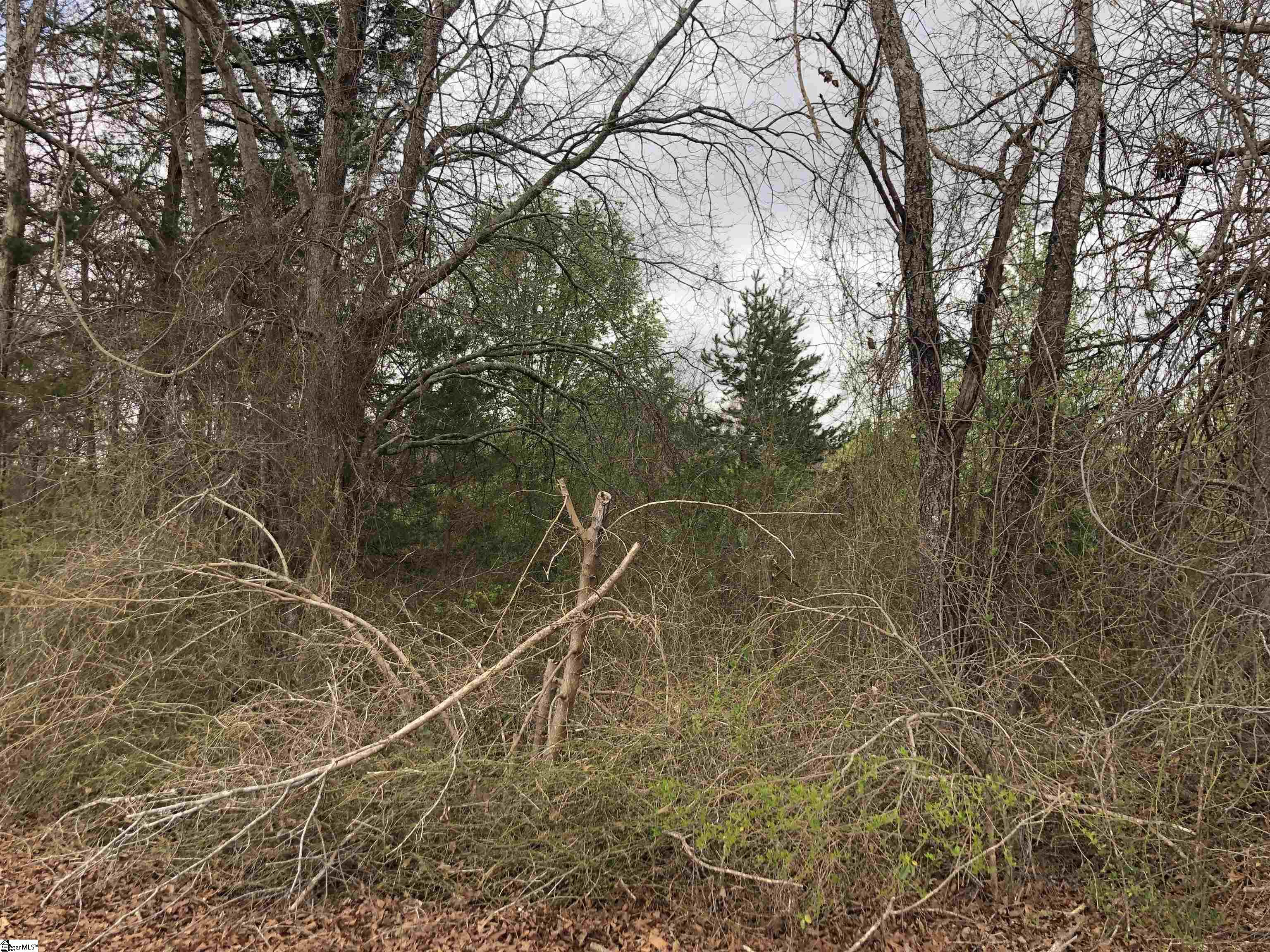 140 Twin Creek, Cowpens, South Carolina image 3