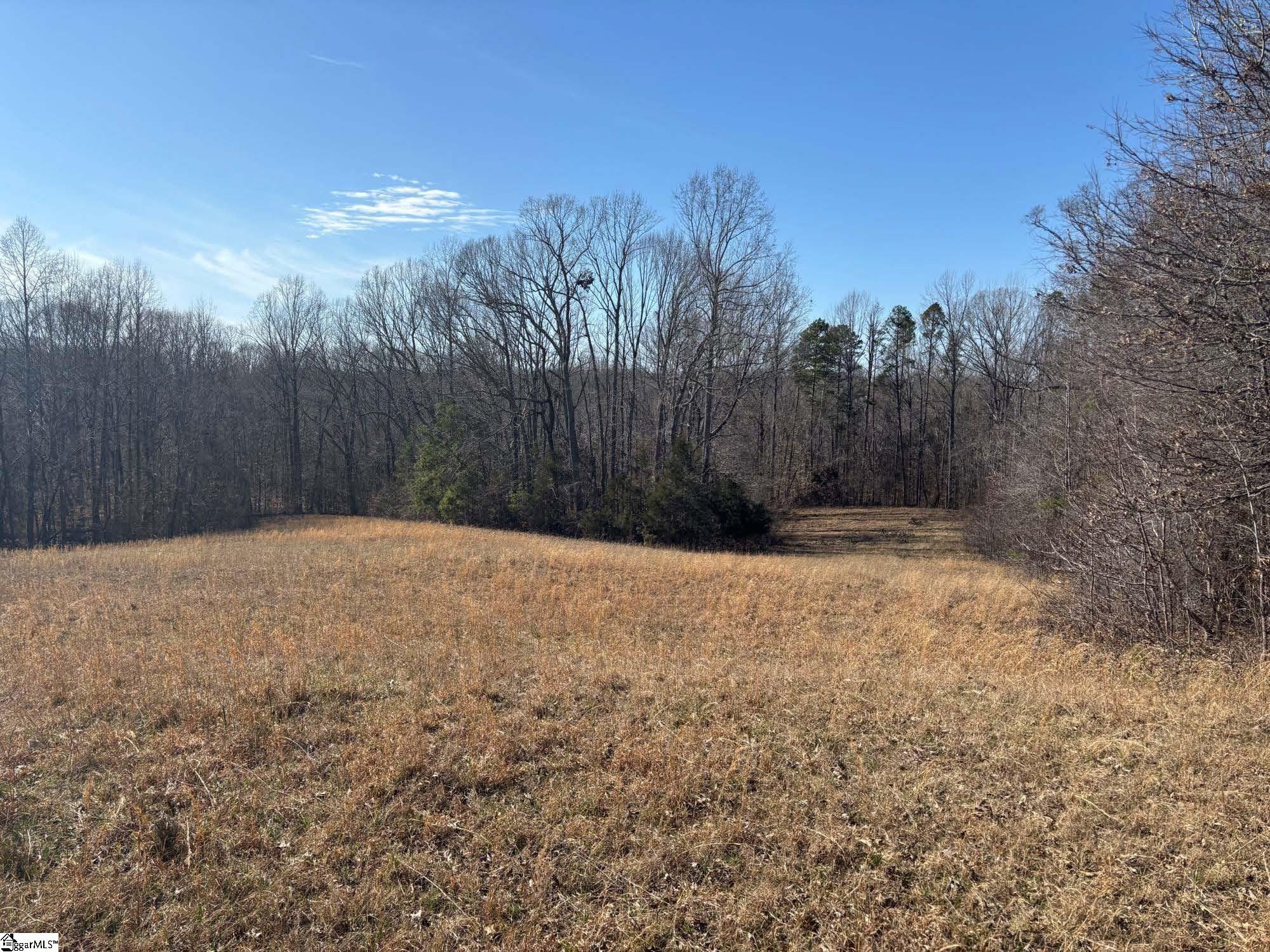 672 Boxwood, Laurens, South Carolina image 18