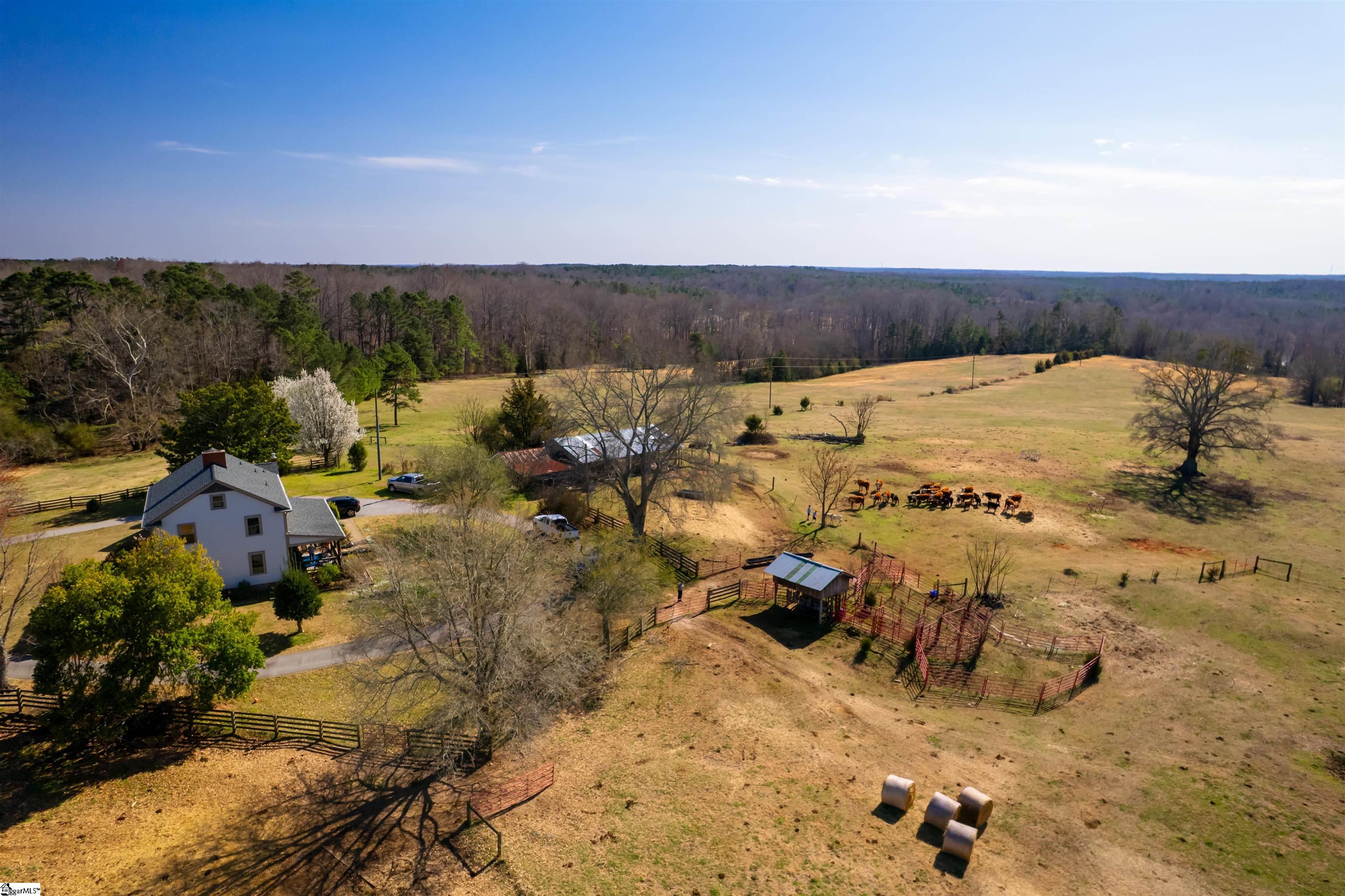 672 Boxwood, Laurens, South Carolina image 3
