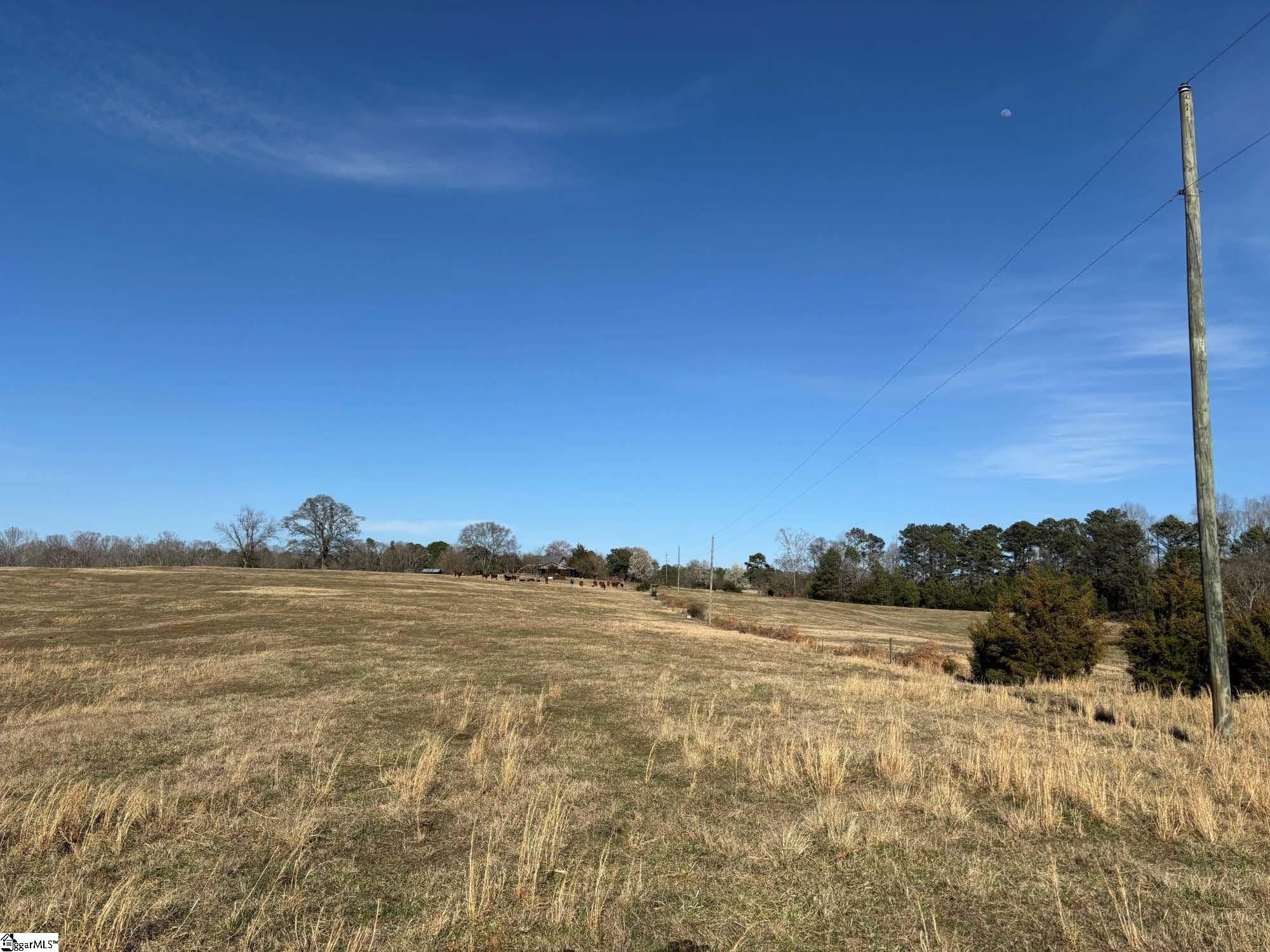 672 Boxwood, Laurens, South Carolina image 10