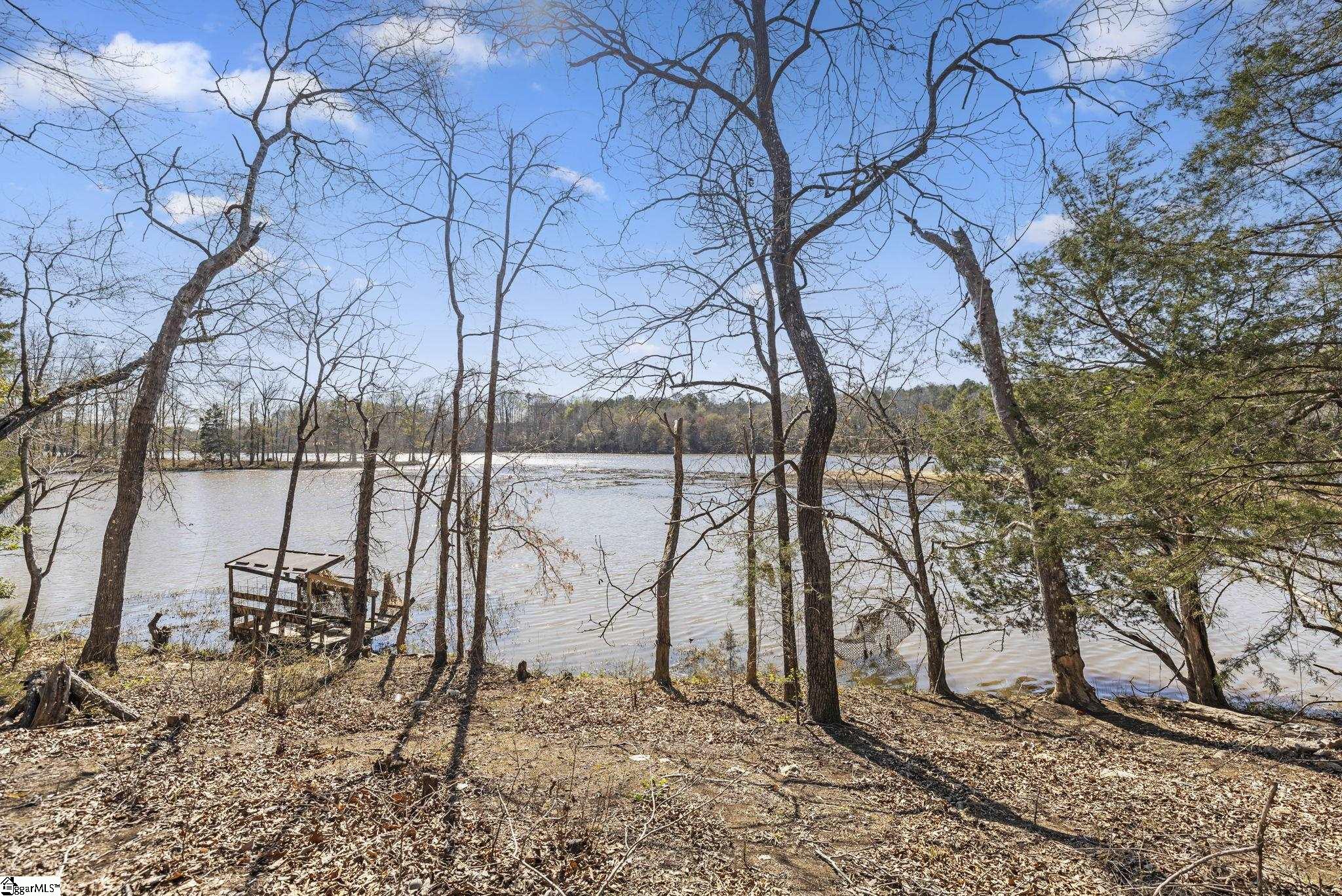 1073 Boyds Mill Pond, Laurens, South Carolina image 2