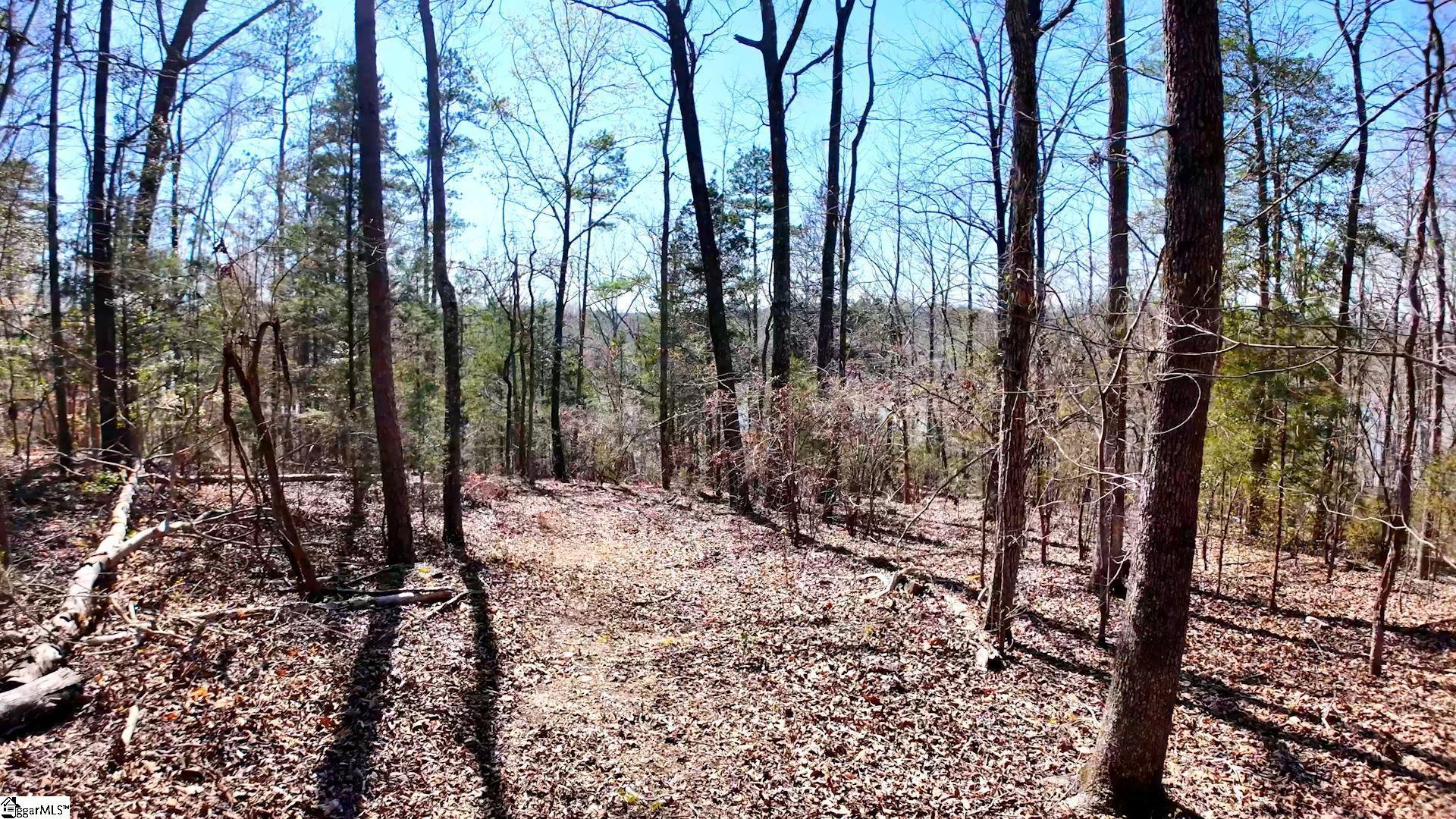 1073 Boyds Mill Pond, Laurens, South Carolina image 17