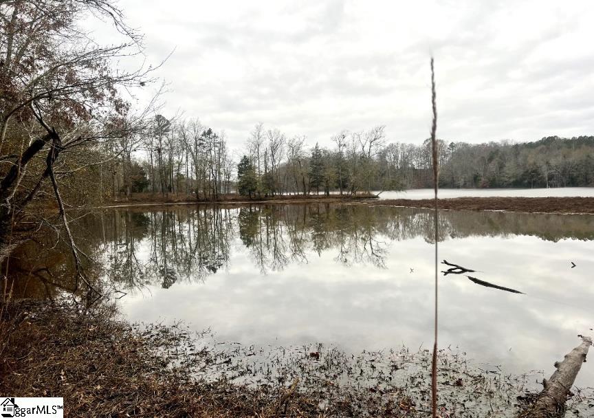 1073 Boyds Mill Pond, Laurens, South Carolina image 22