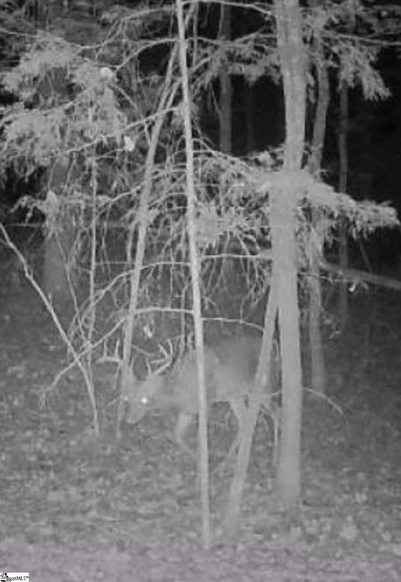 1073 Boyds Mill Pond, Laurens, South Carolina image 28