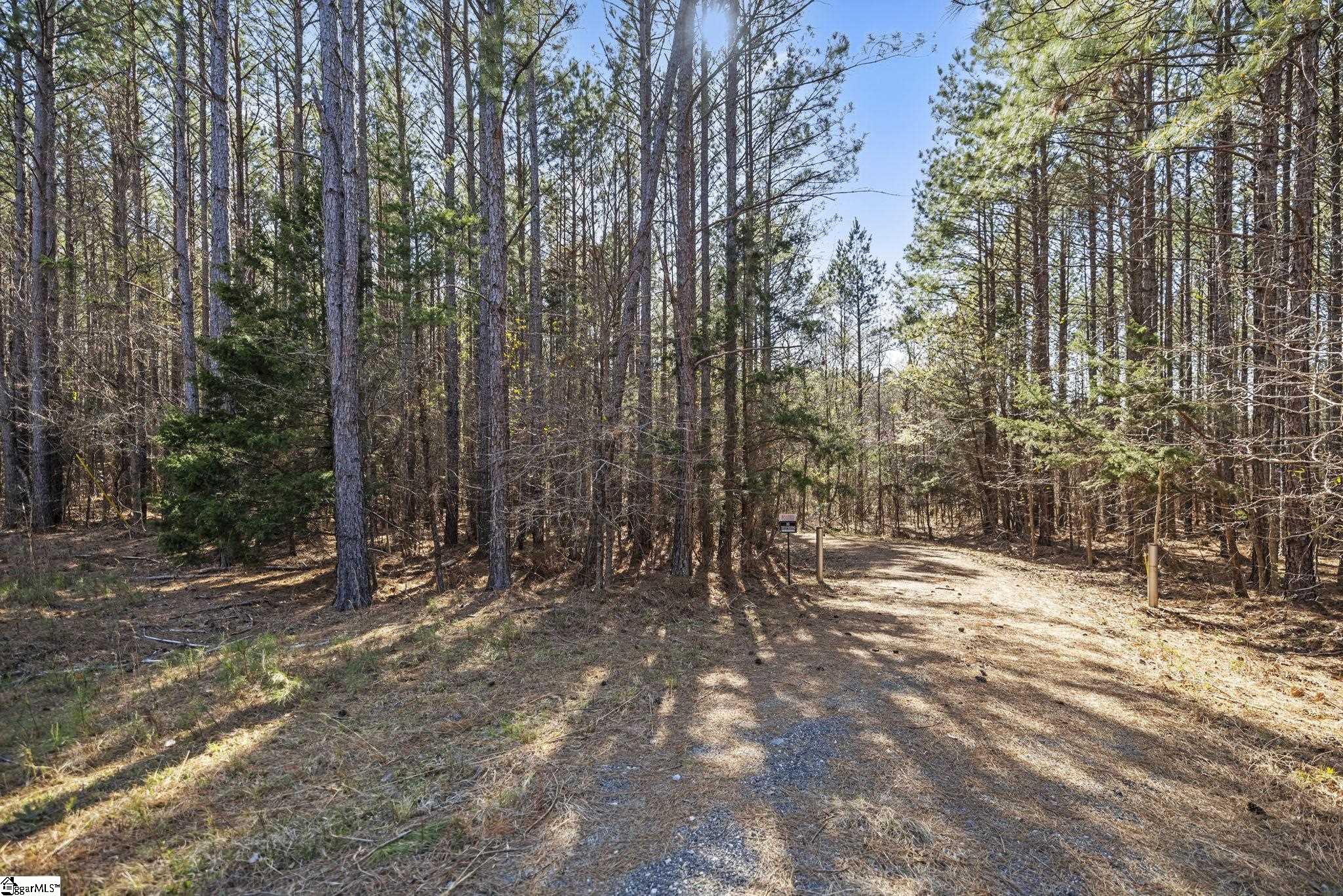 1073 Boyds Mill Pond, Laurens, South Carolina image 5