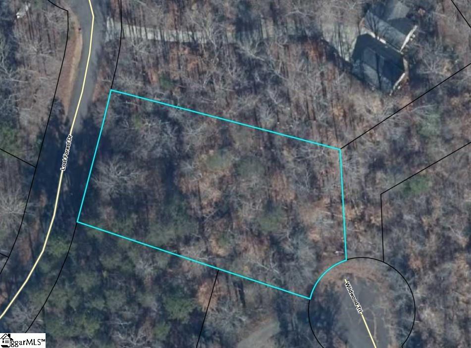 Lost Forest, Westminster, South Carolina image 3